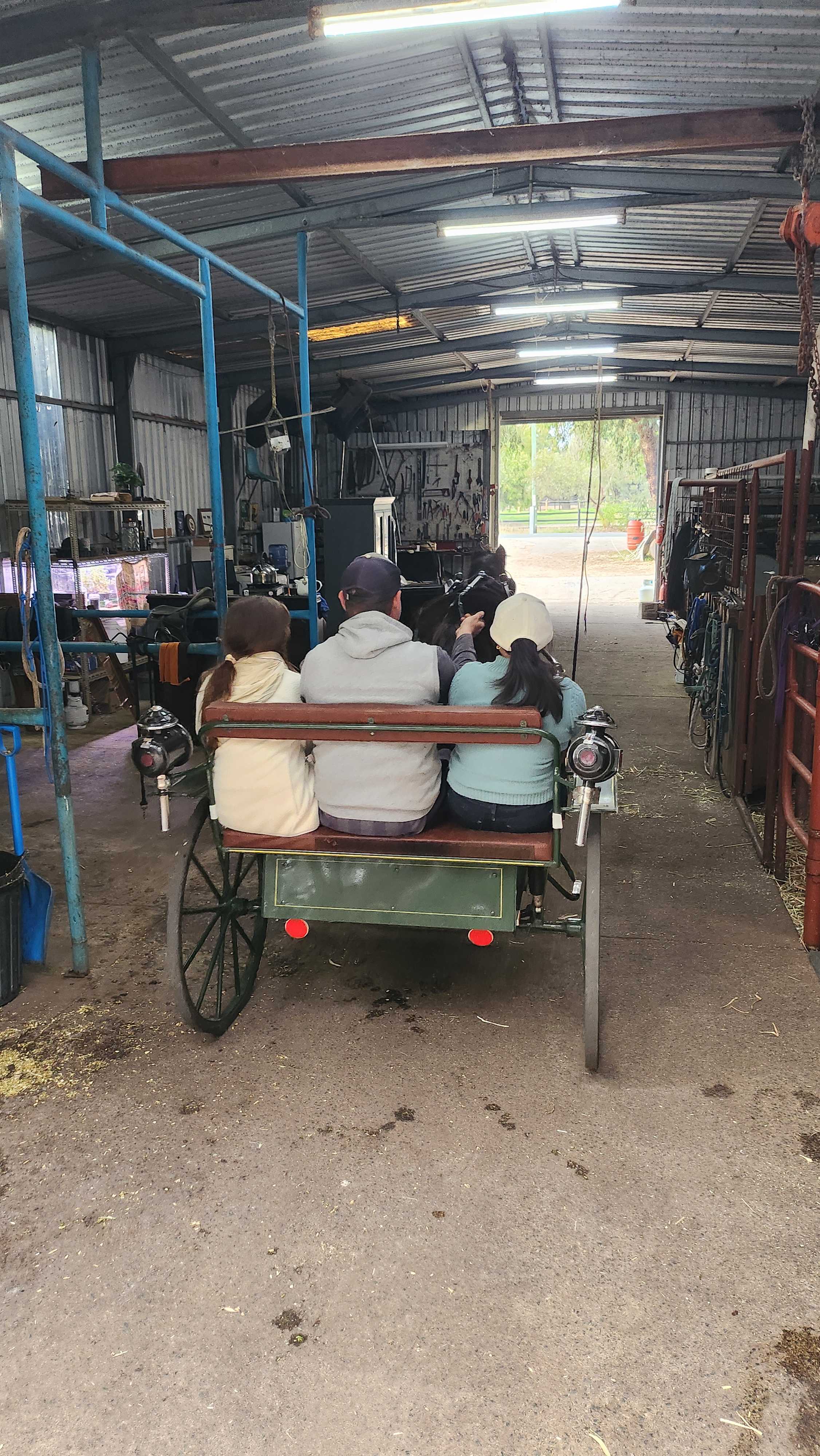 Horse and buggy ride