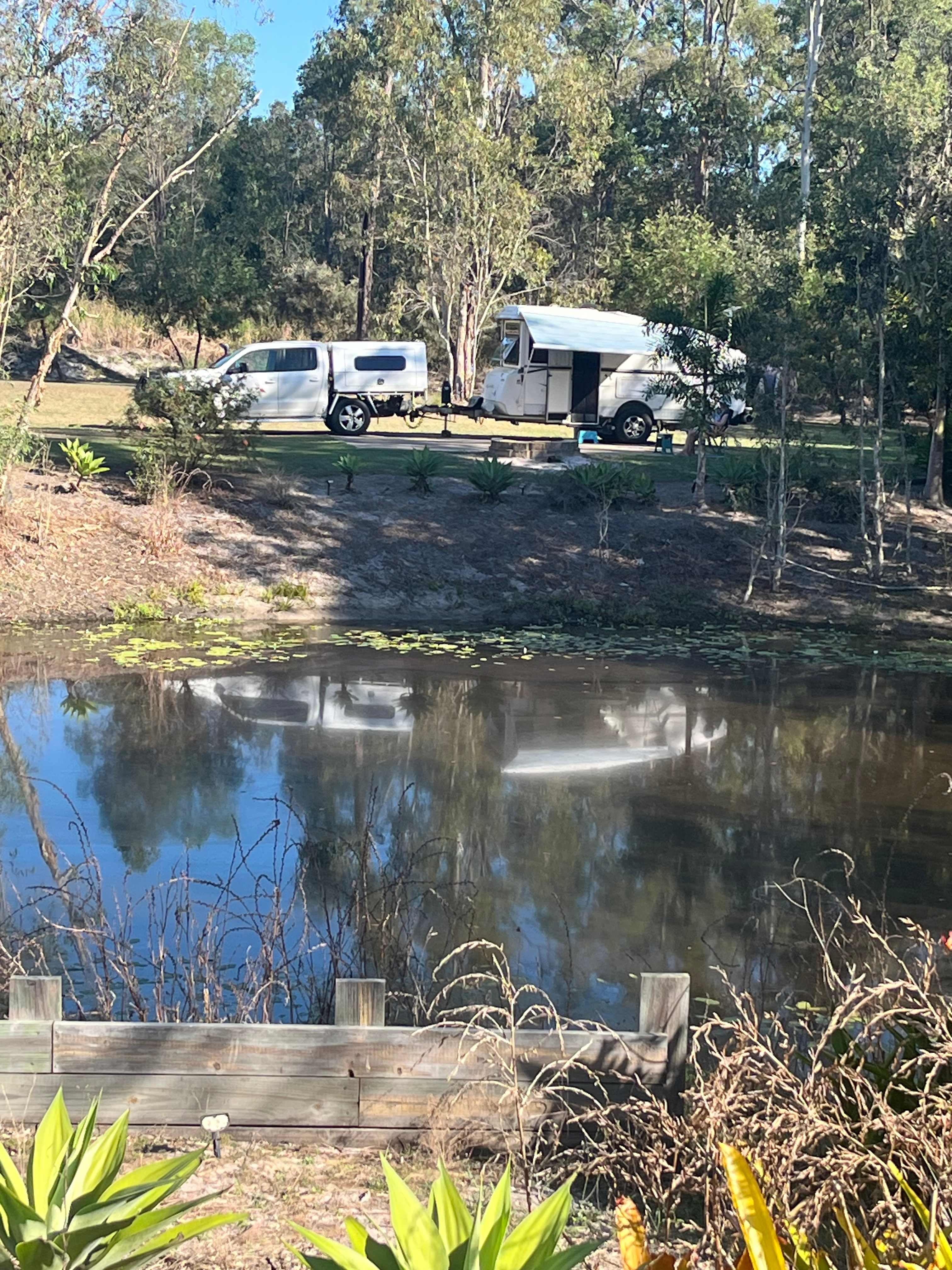 Collie Farm