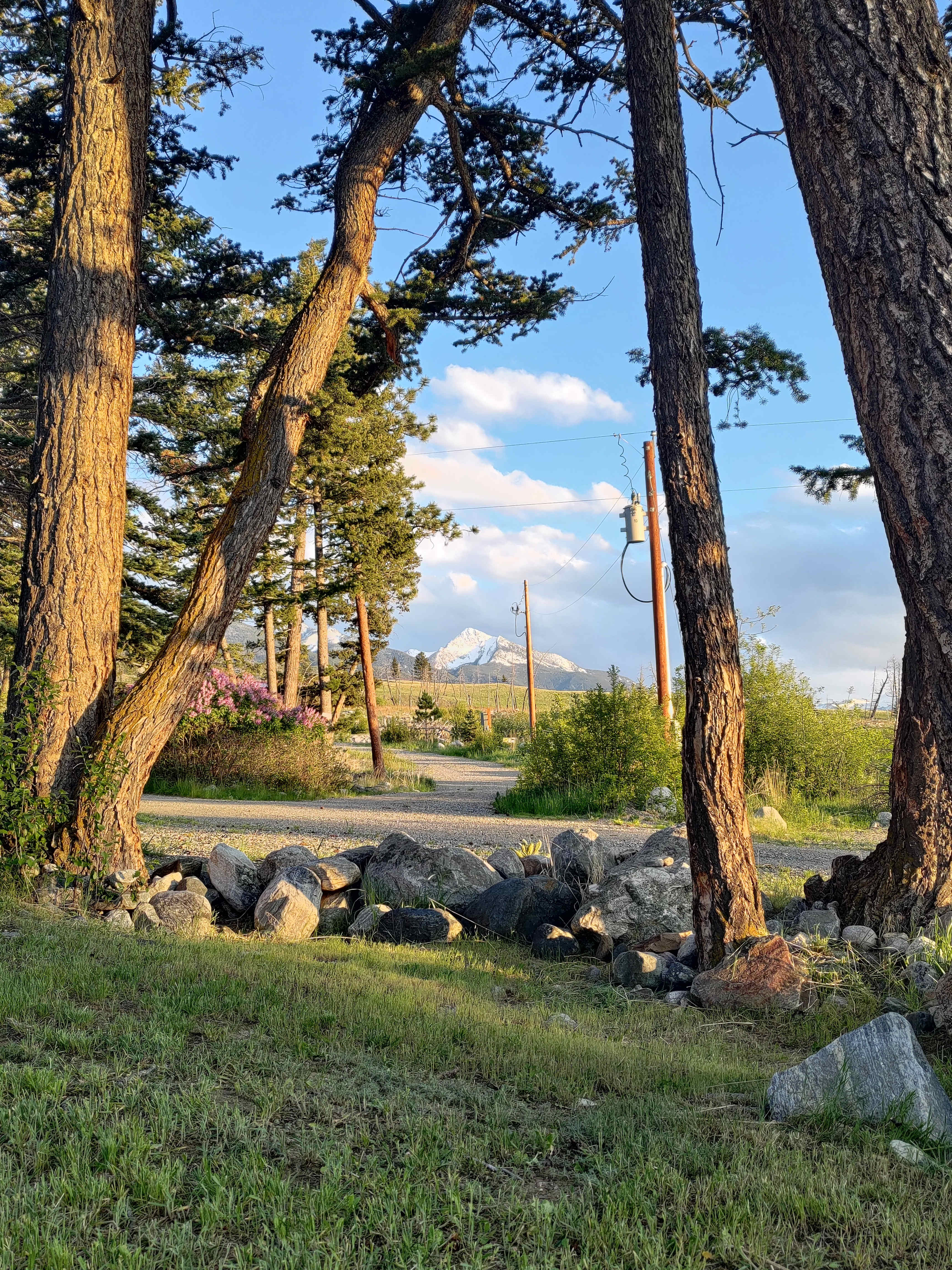 Picture of the site