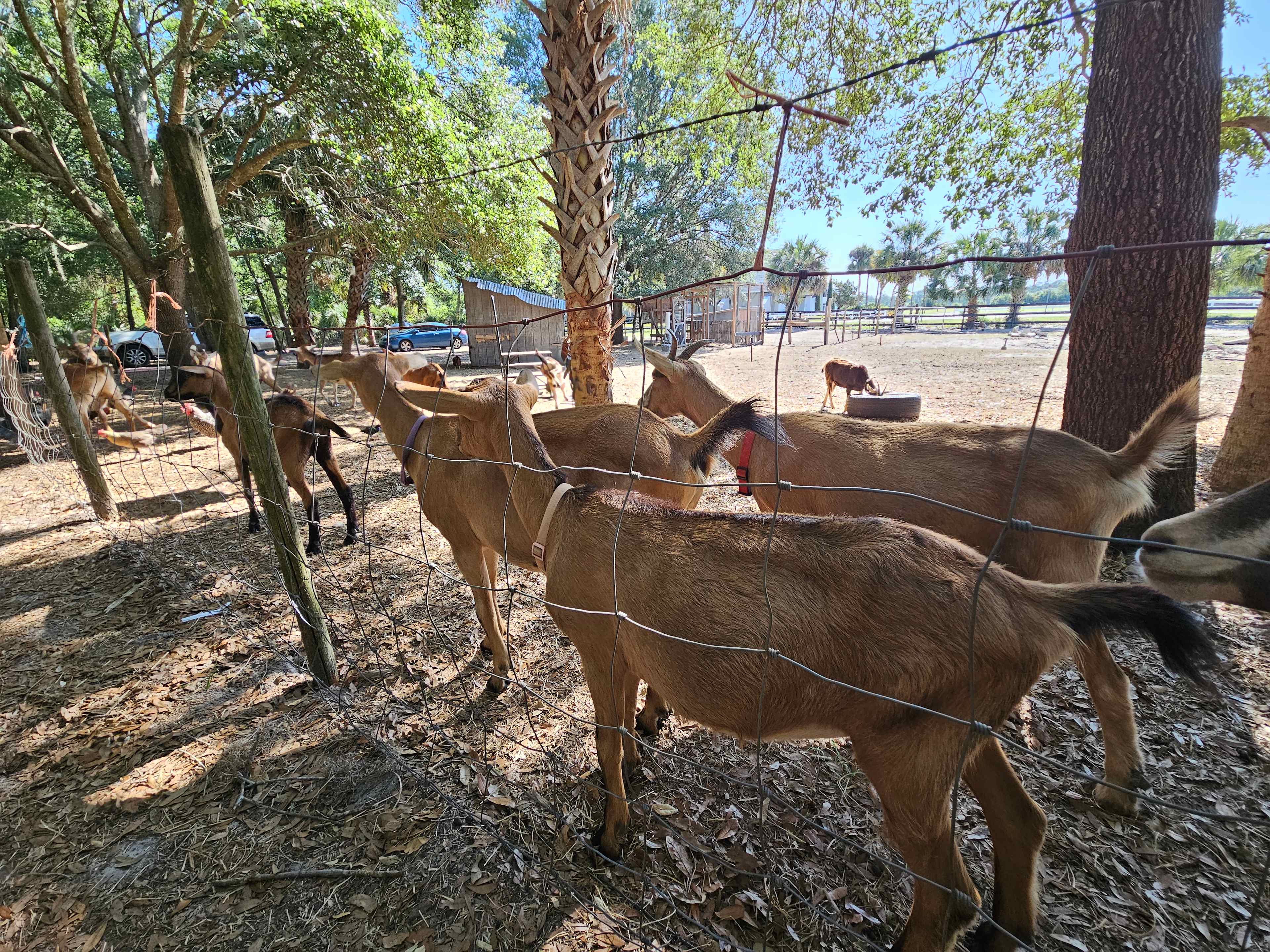 True Trail Farm
