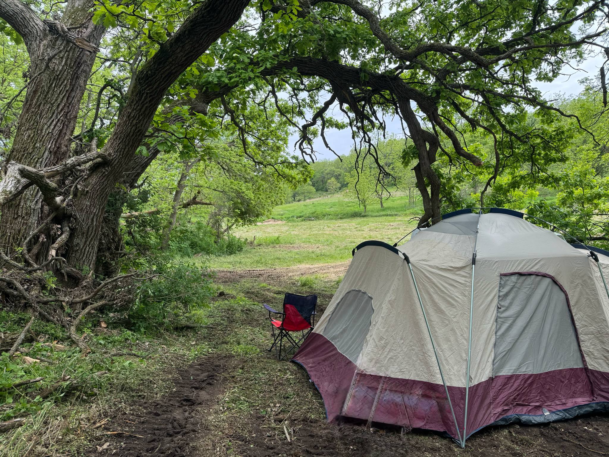 Foley's 4x4 Timber Trail Camping
