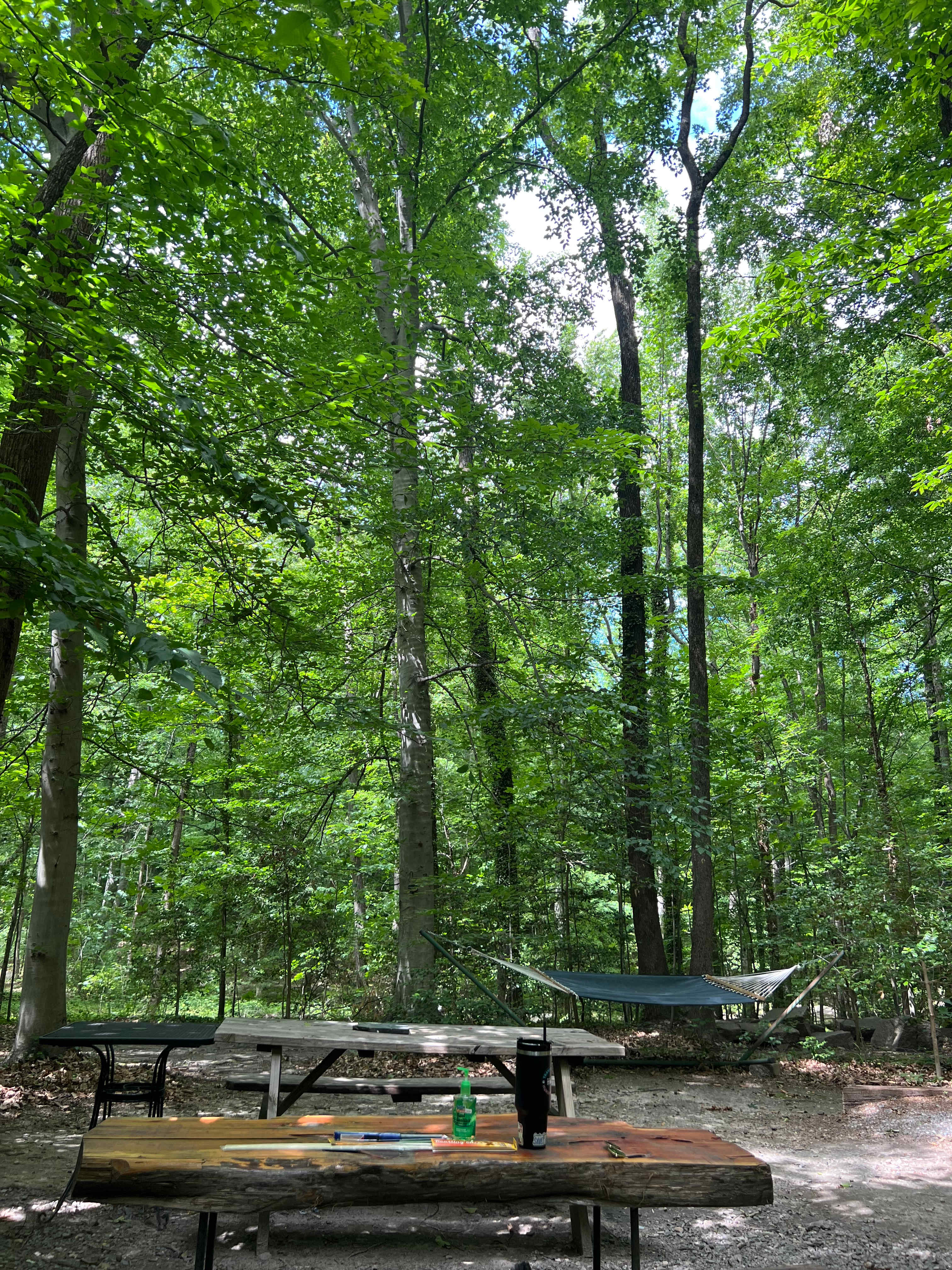 City Camp on Reedy Creek