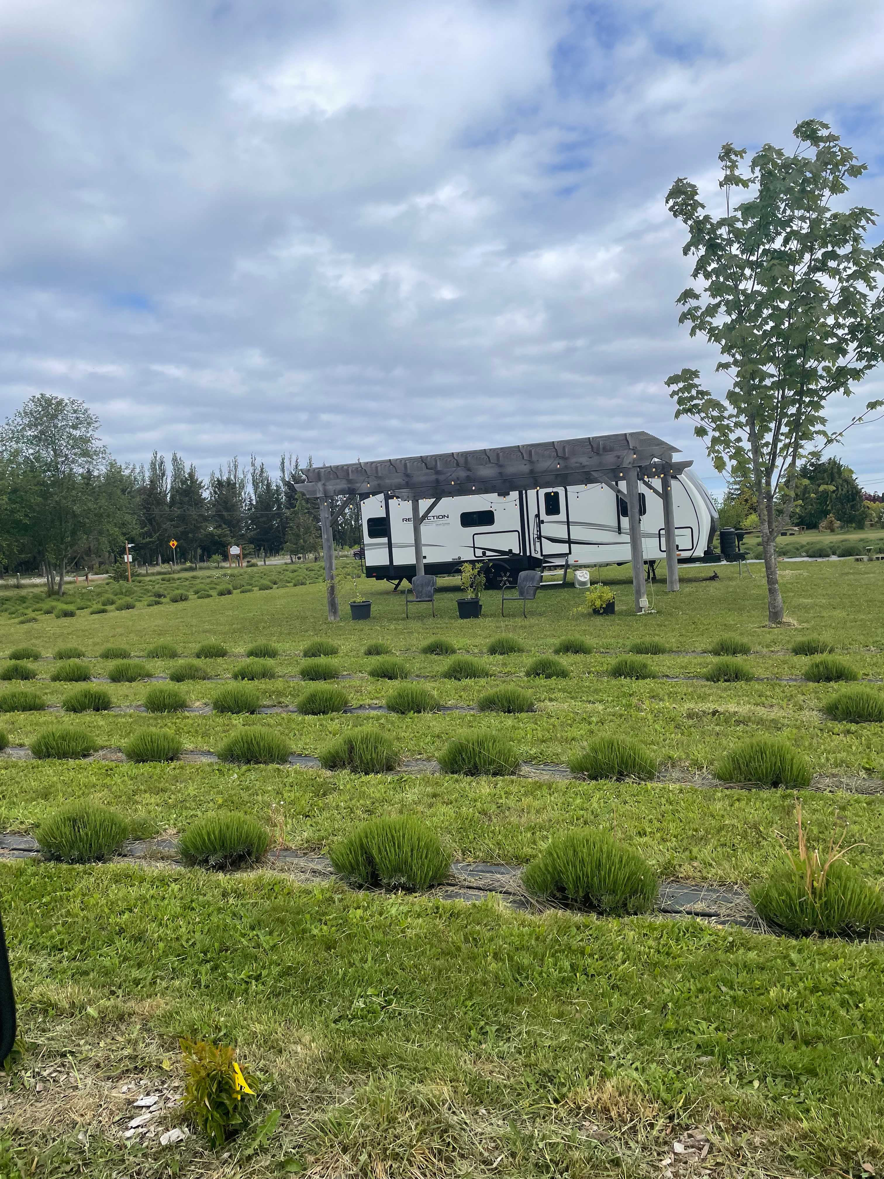 Rain Shadow Lavender Farm