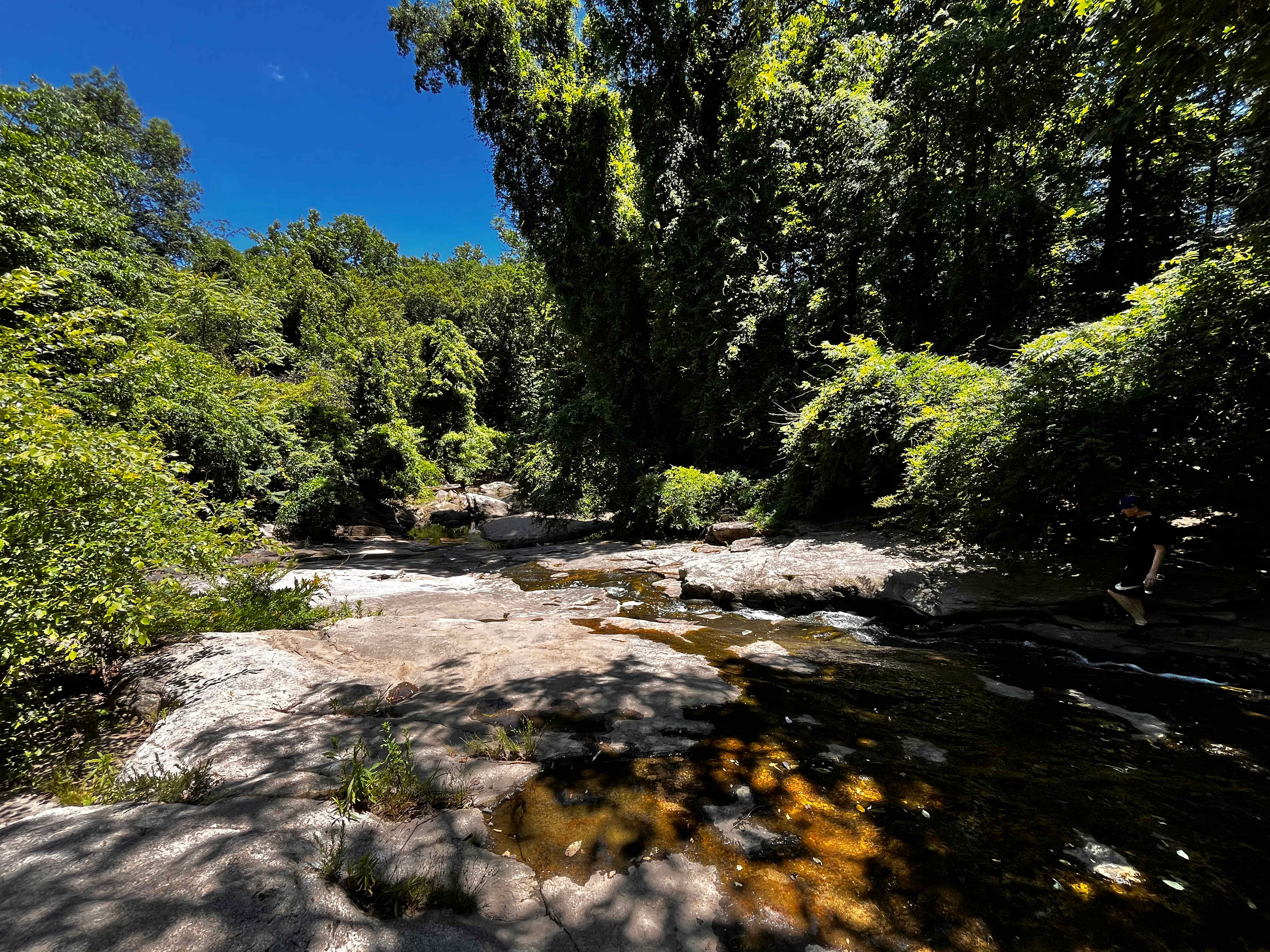 City Camp on Reedy Creek