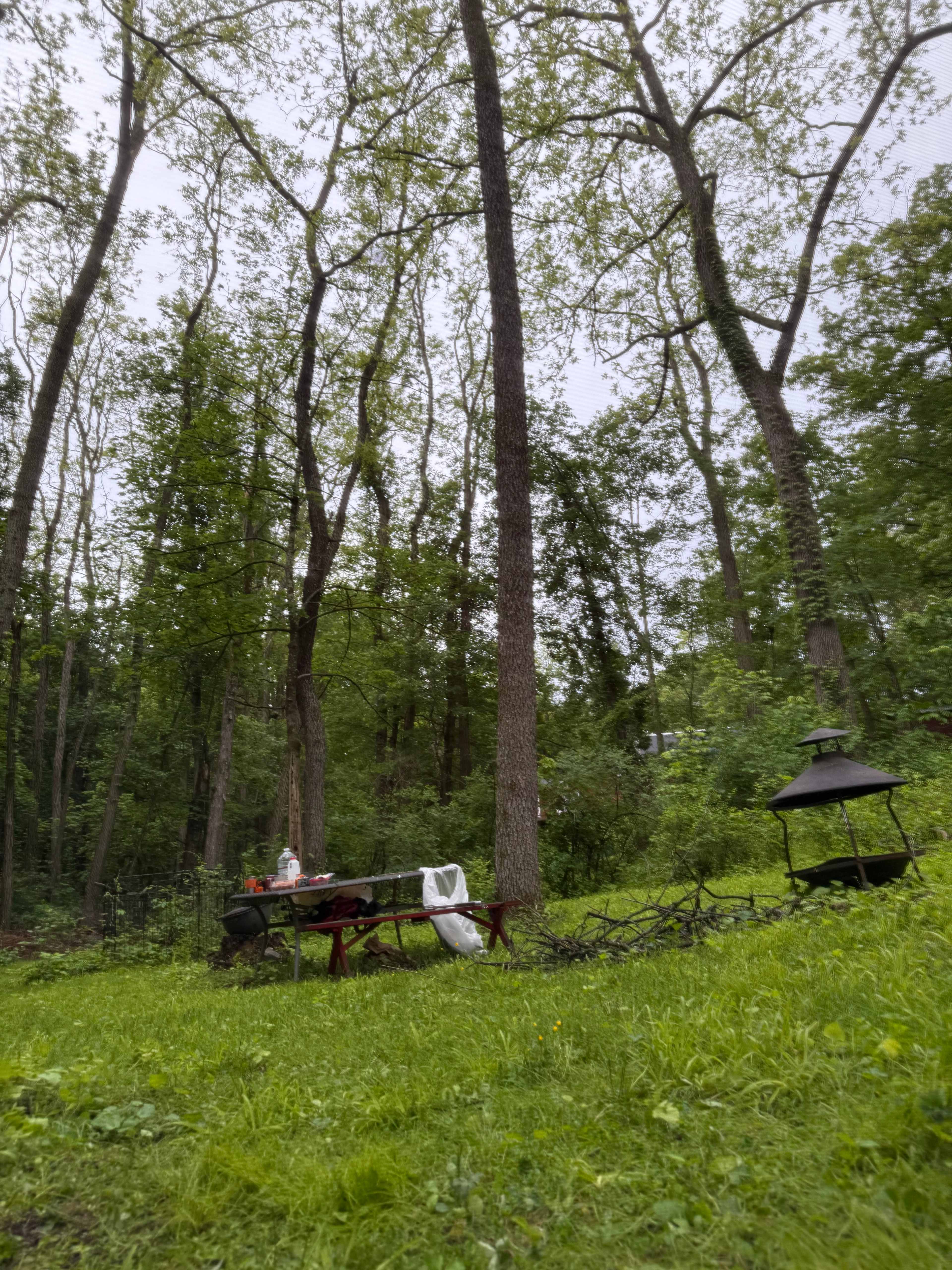 1.  Robin's Hood. 2.  Lola's Loop