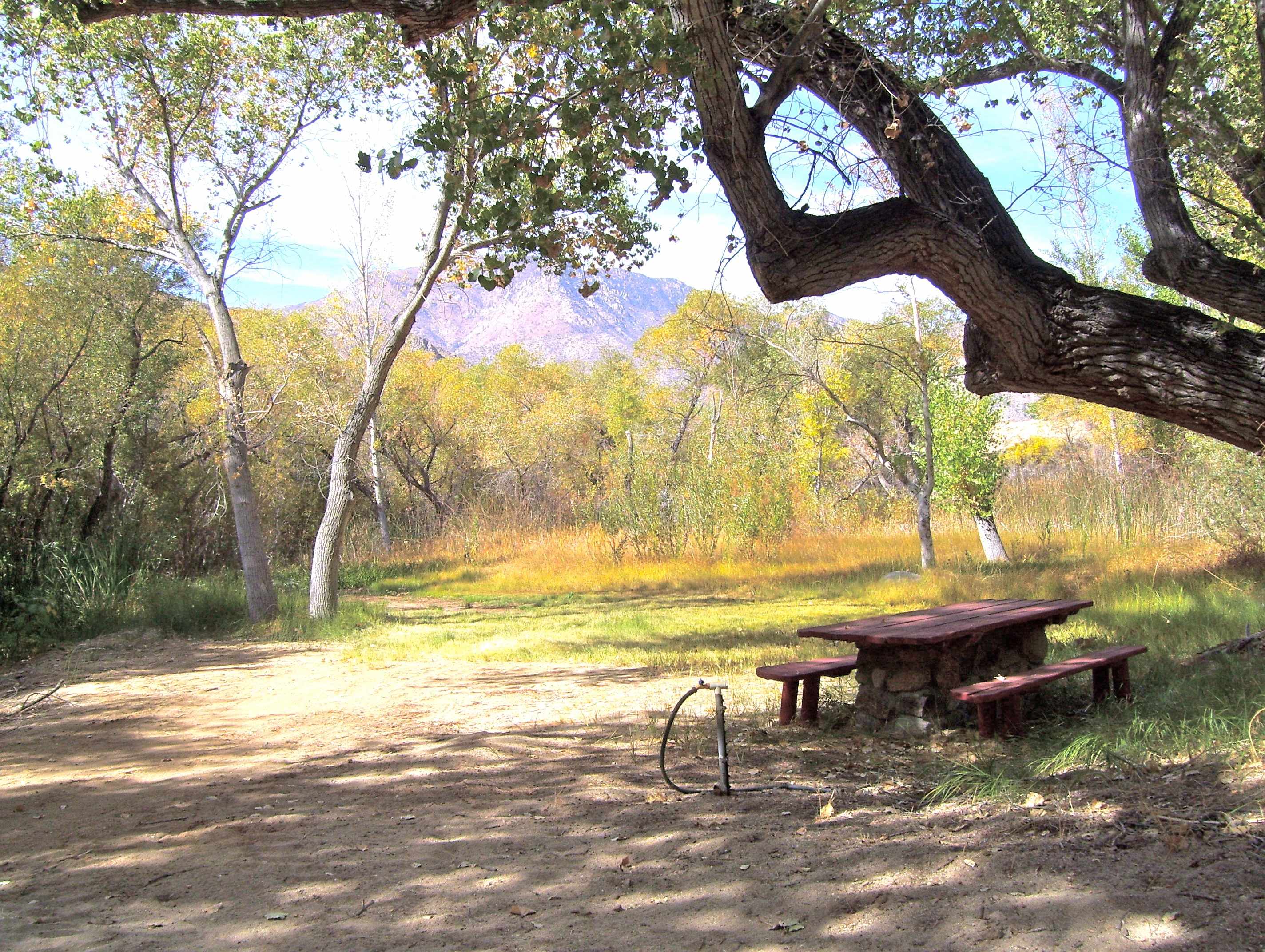 Silver Spur Ranch