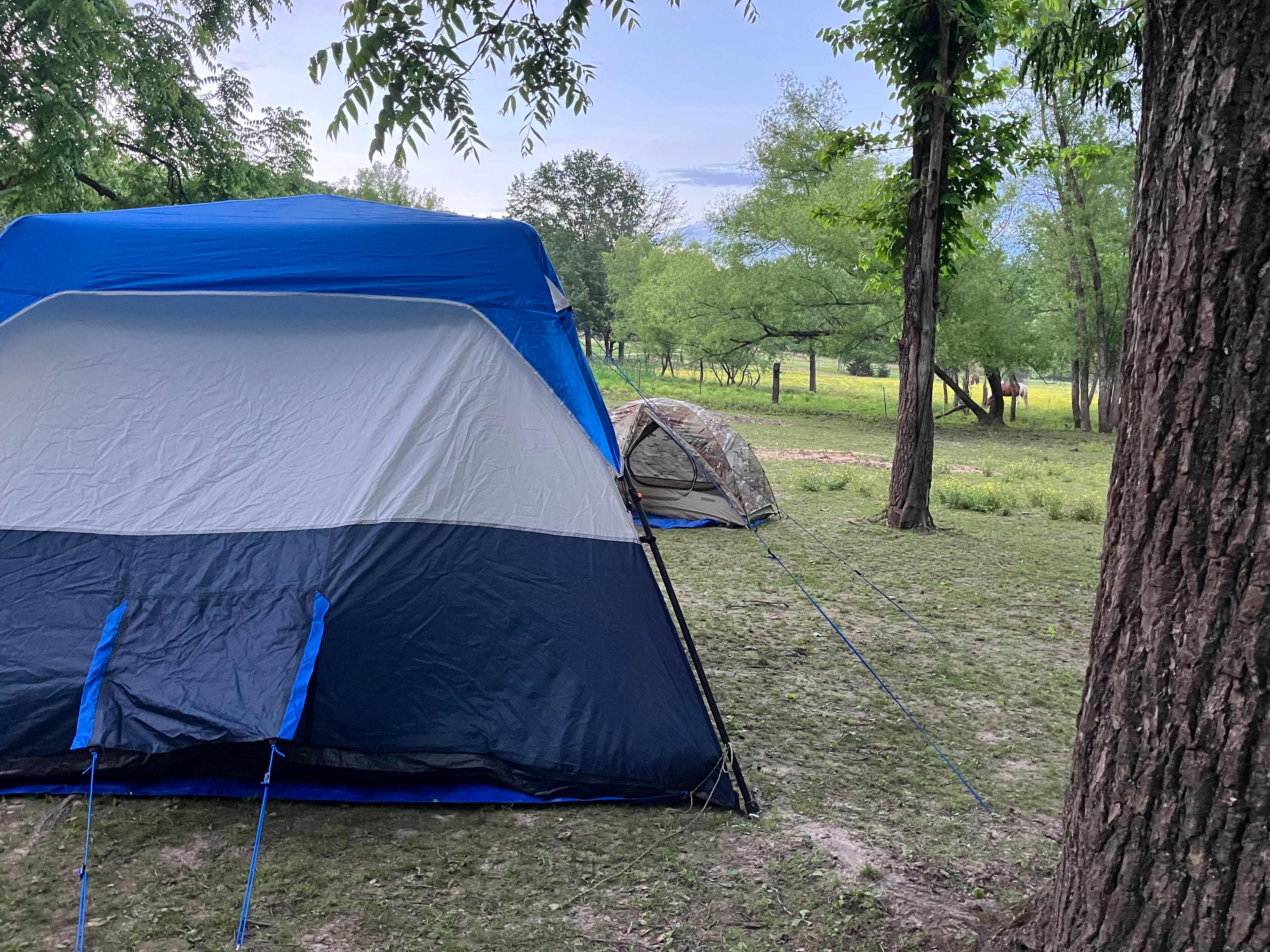 Hummingbird Hollow Outdoors