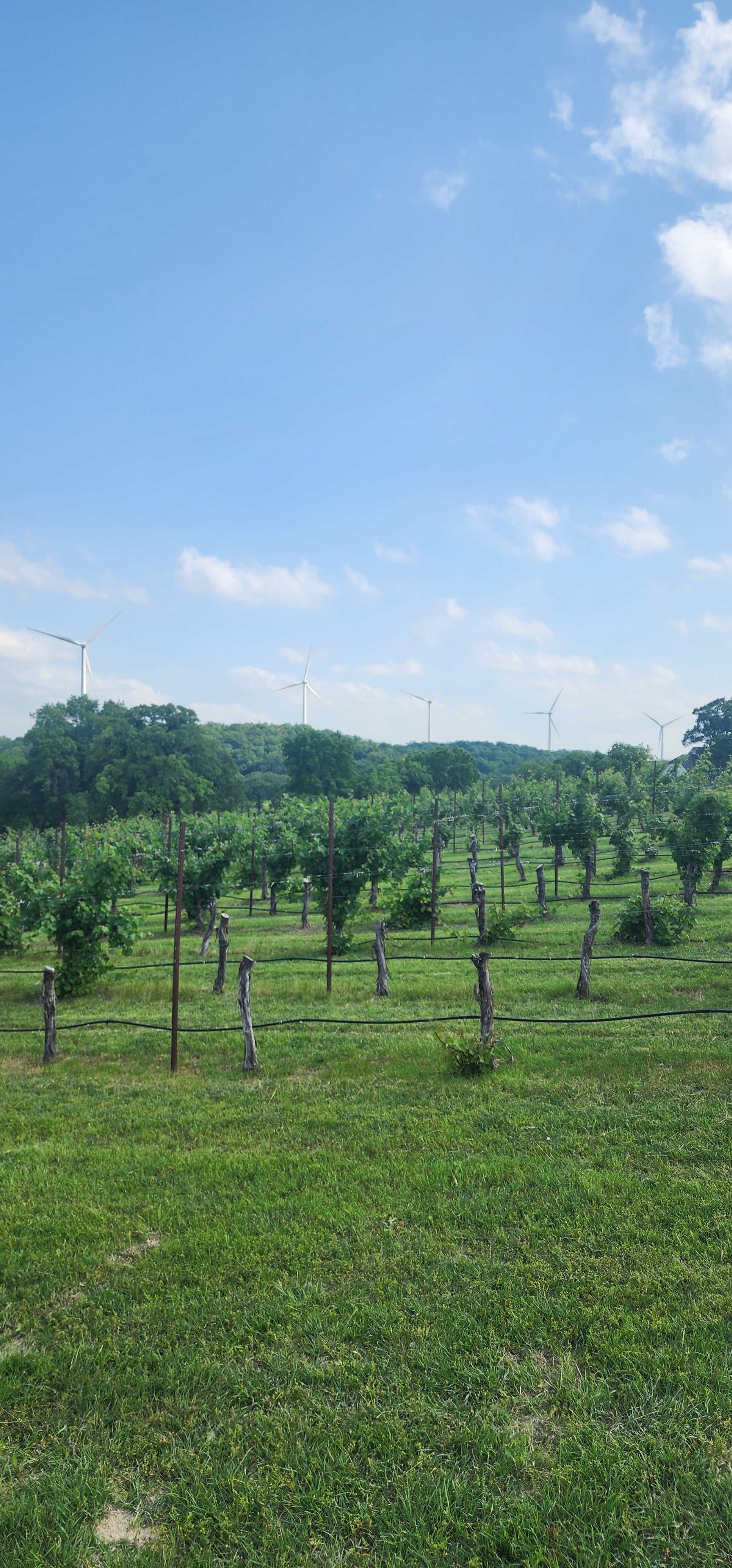 4R Ranch Winery Campsite