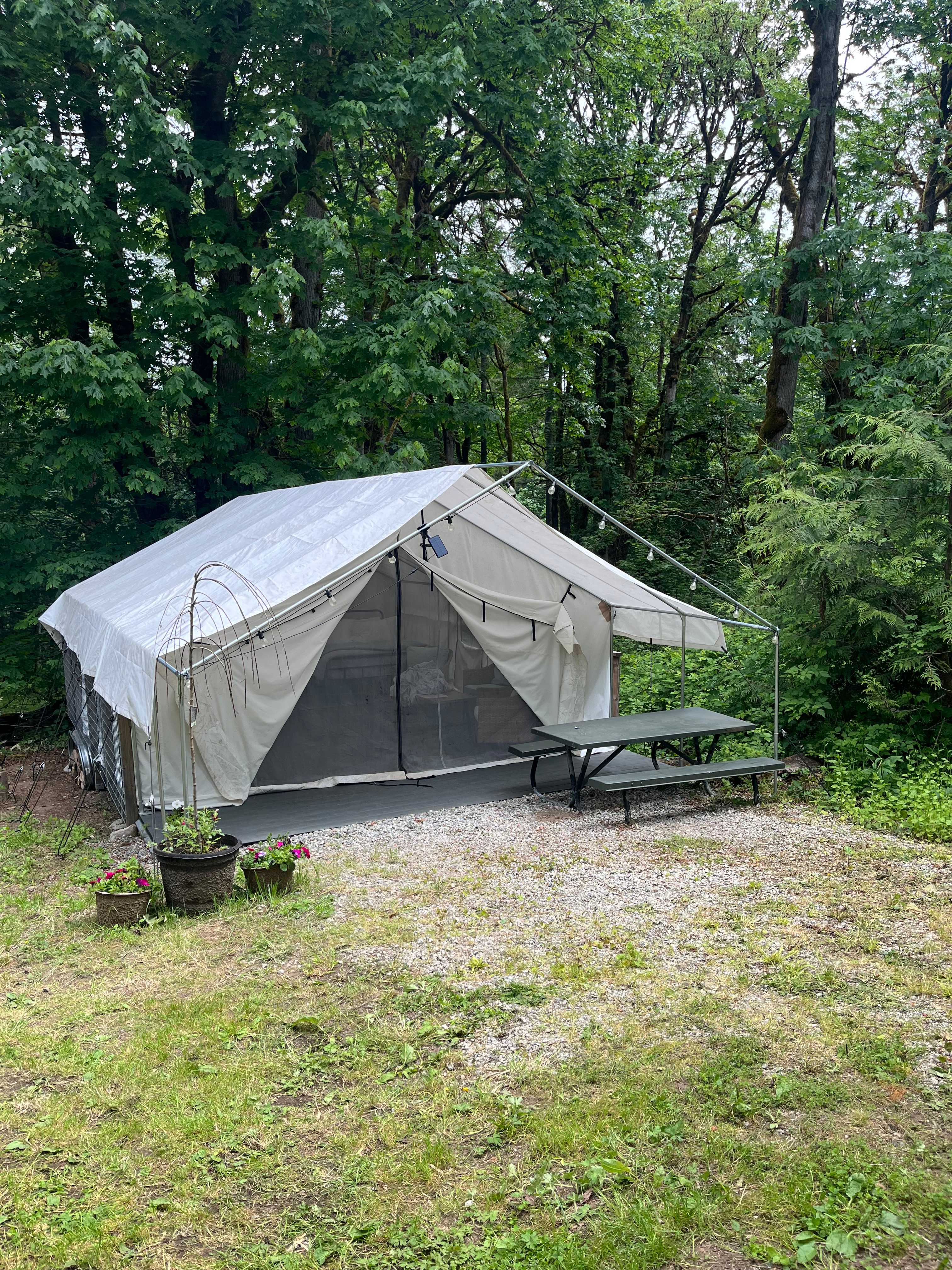Olalla Flower Farm Glamping