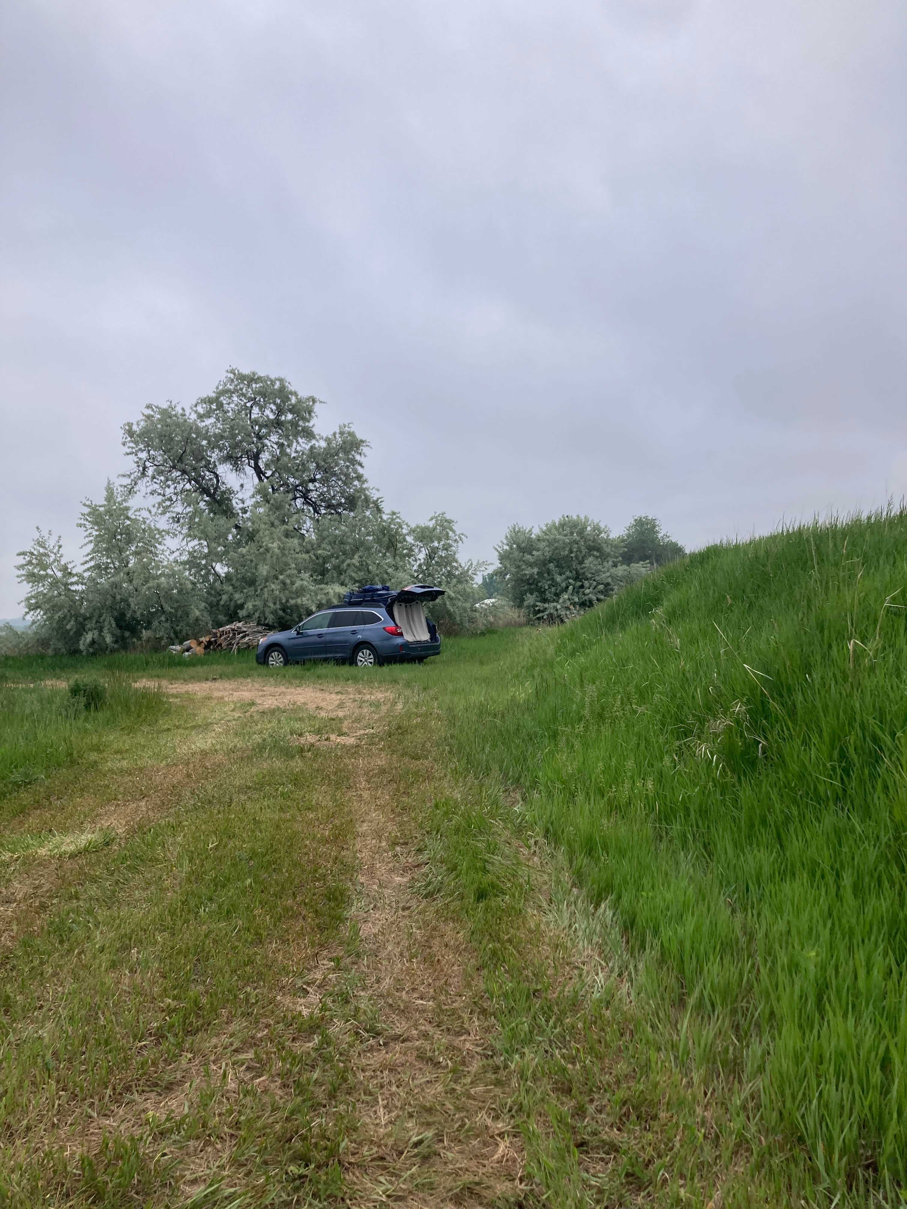 Picture of the site