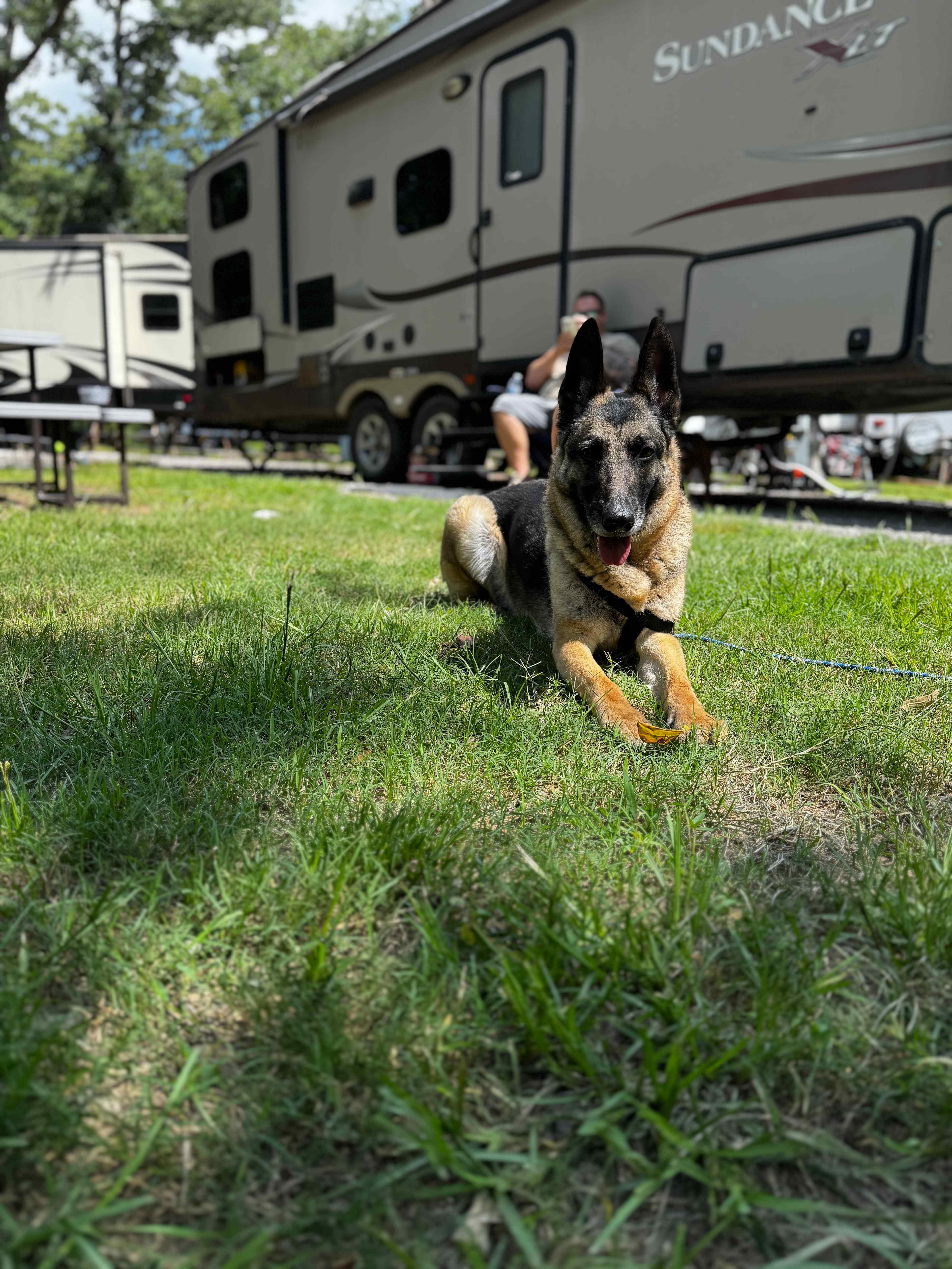 Glamm Camping