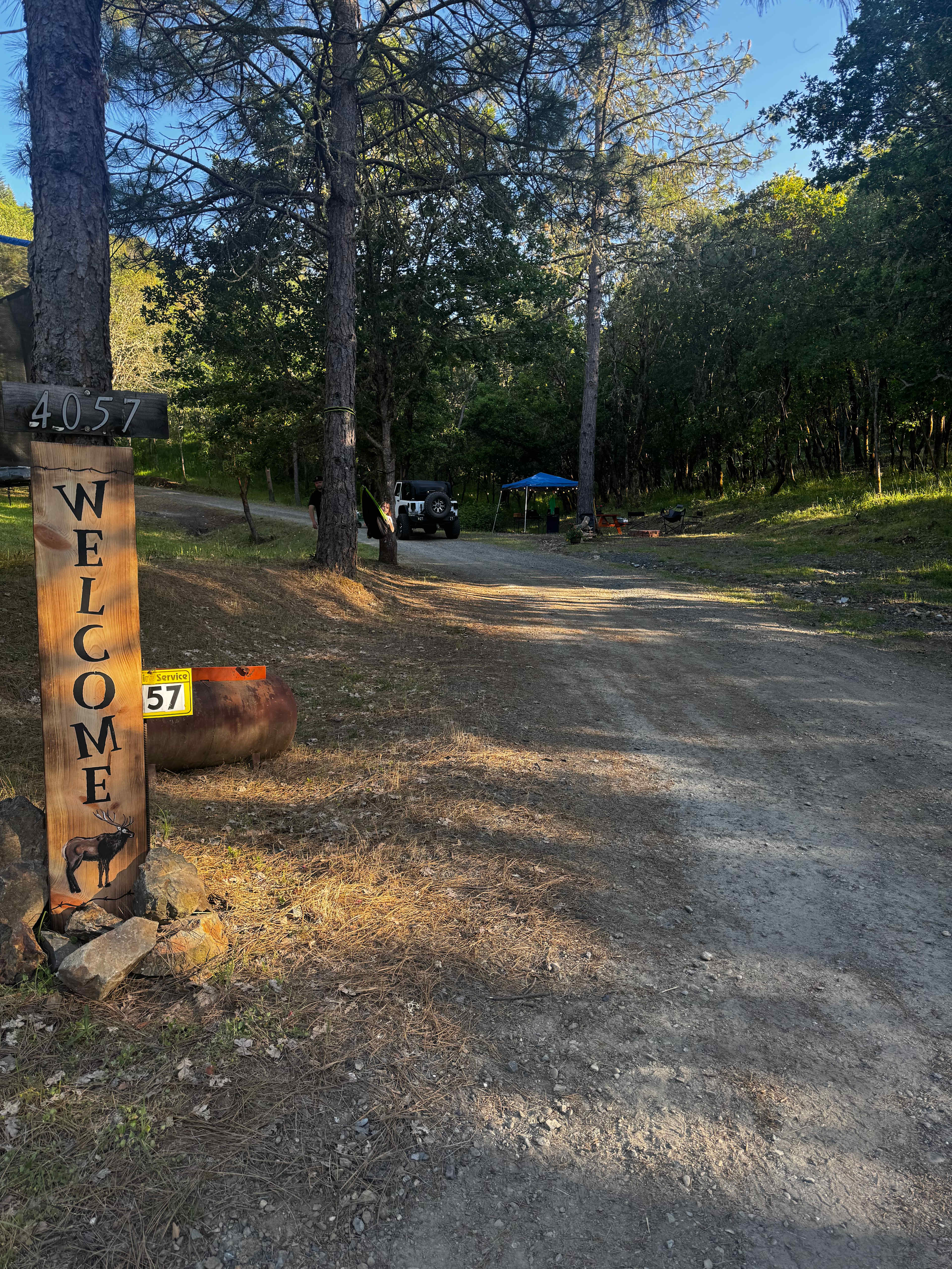 Homestead campsite in the trees
