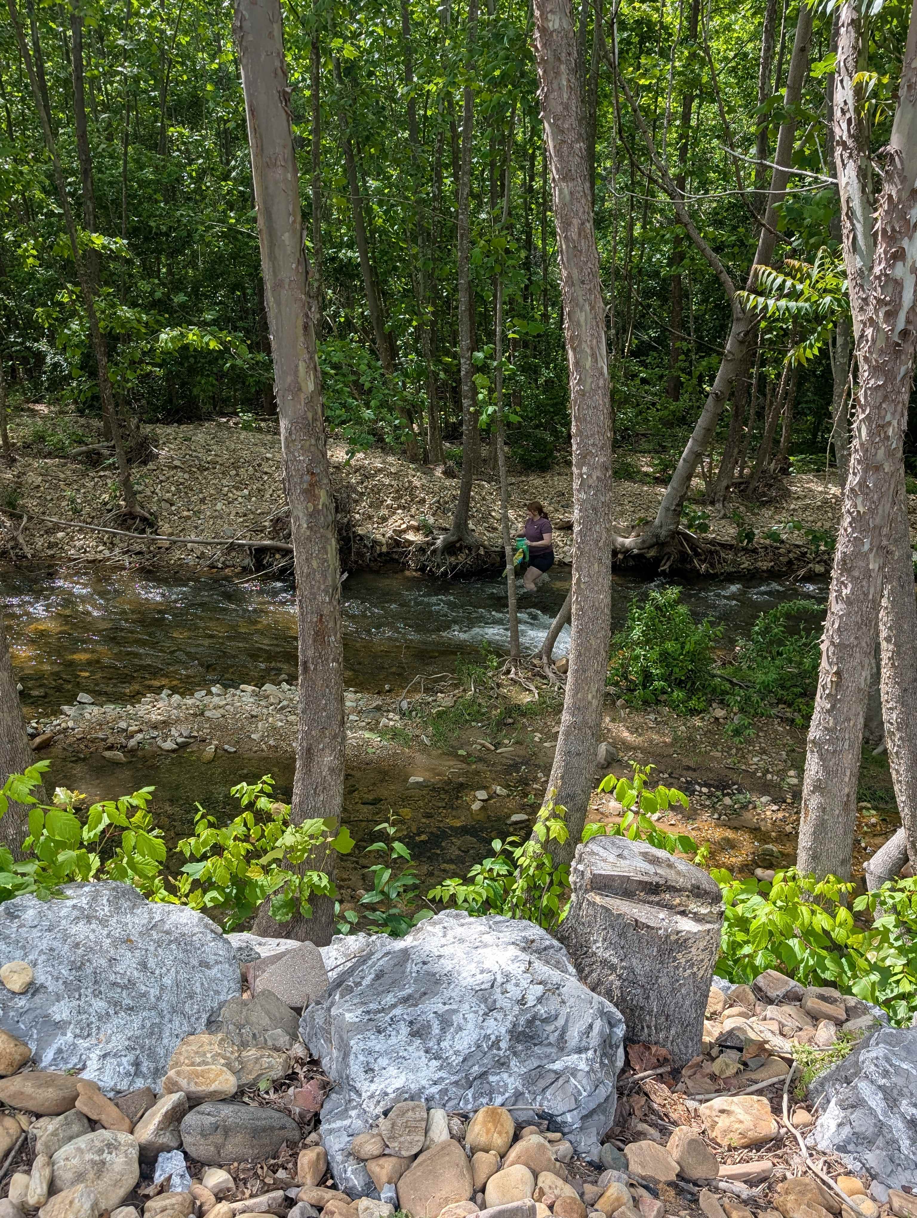 Swedish Lilac Campground & Events