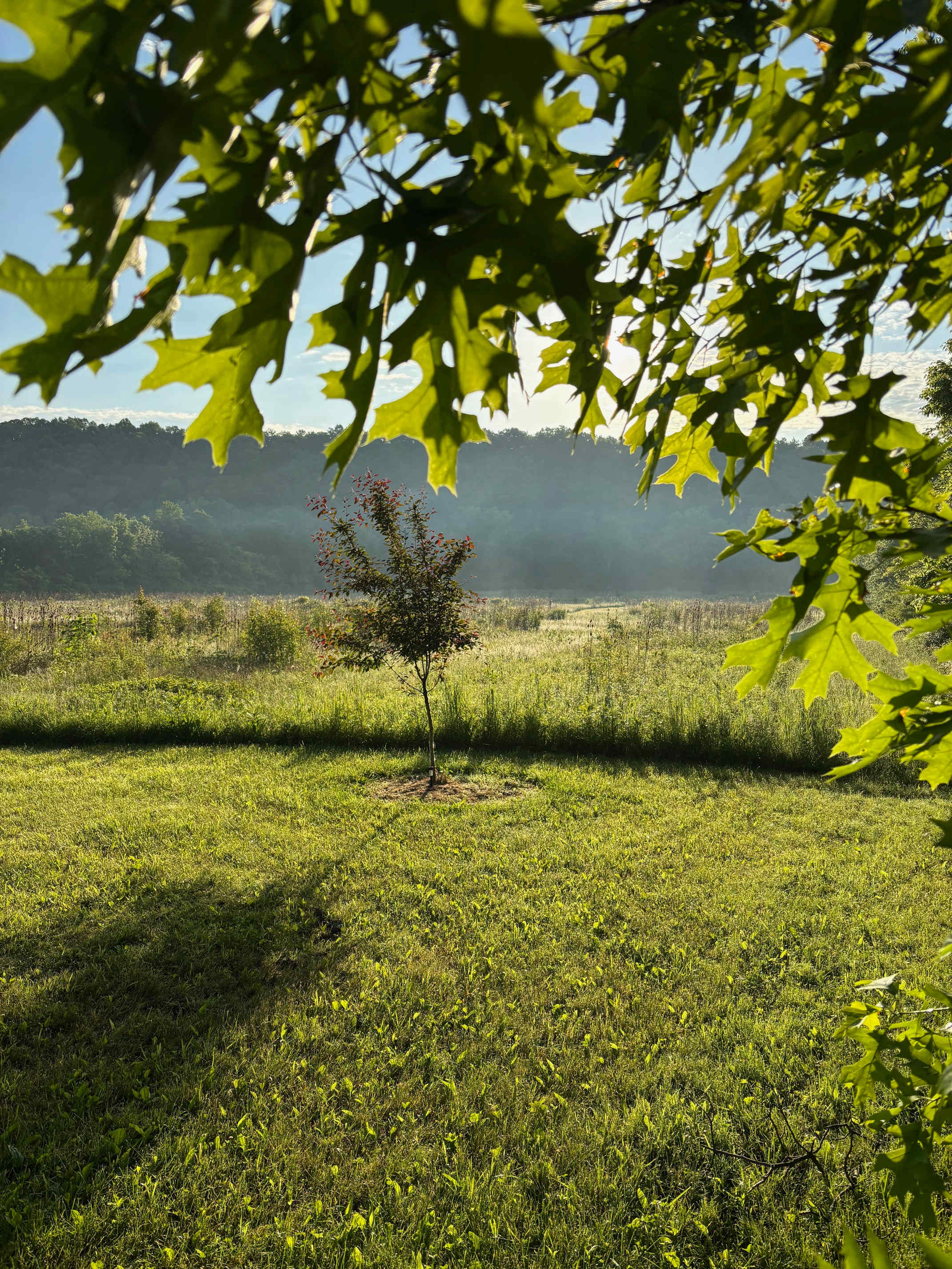 Hones Pointe Campground