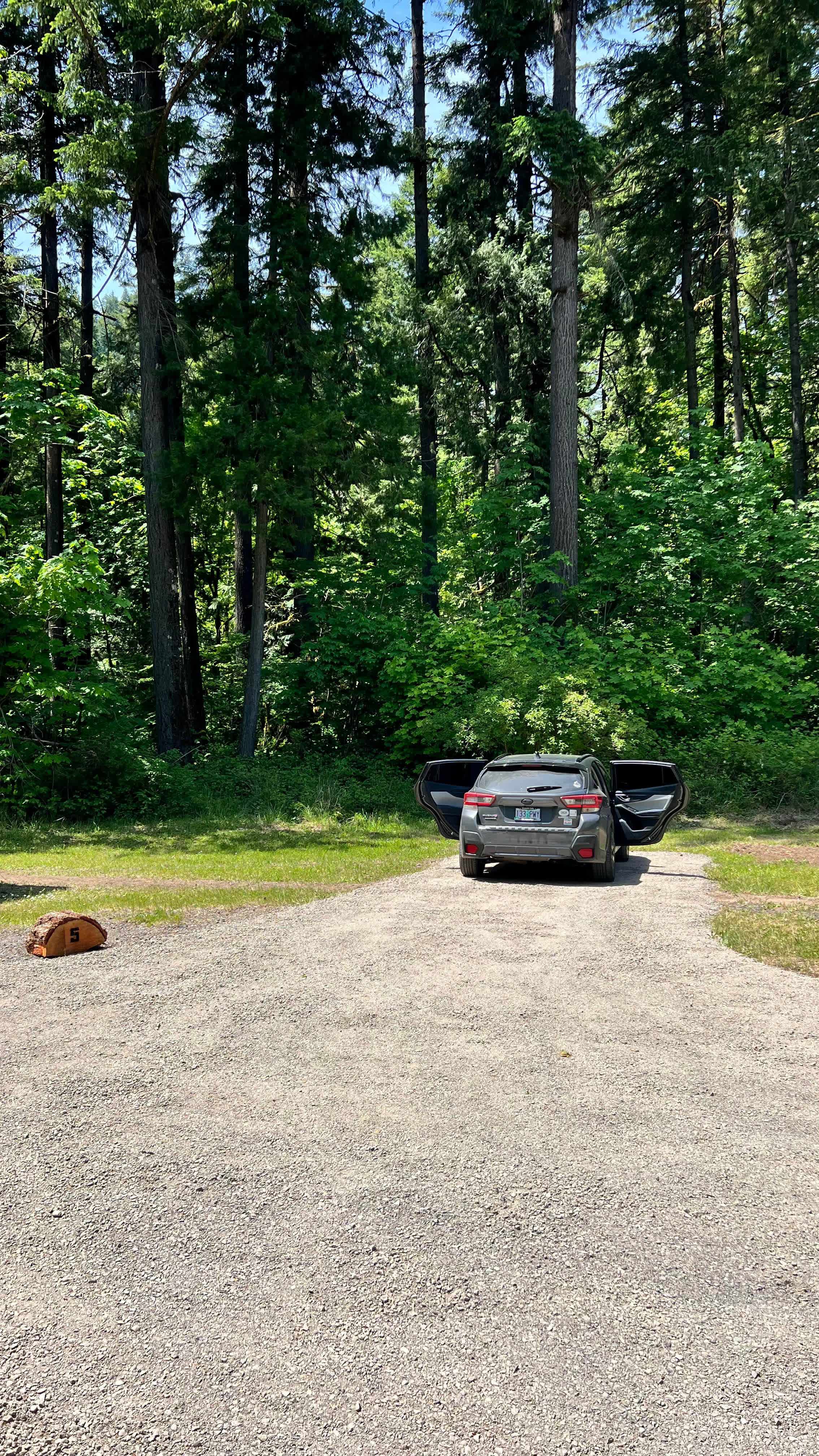 Picture of the site