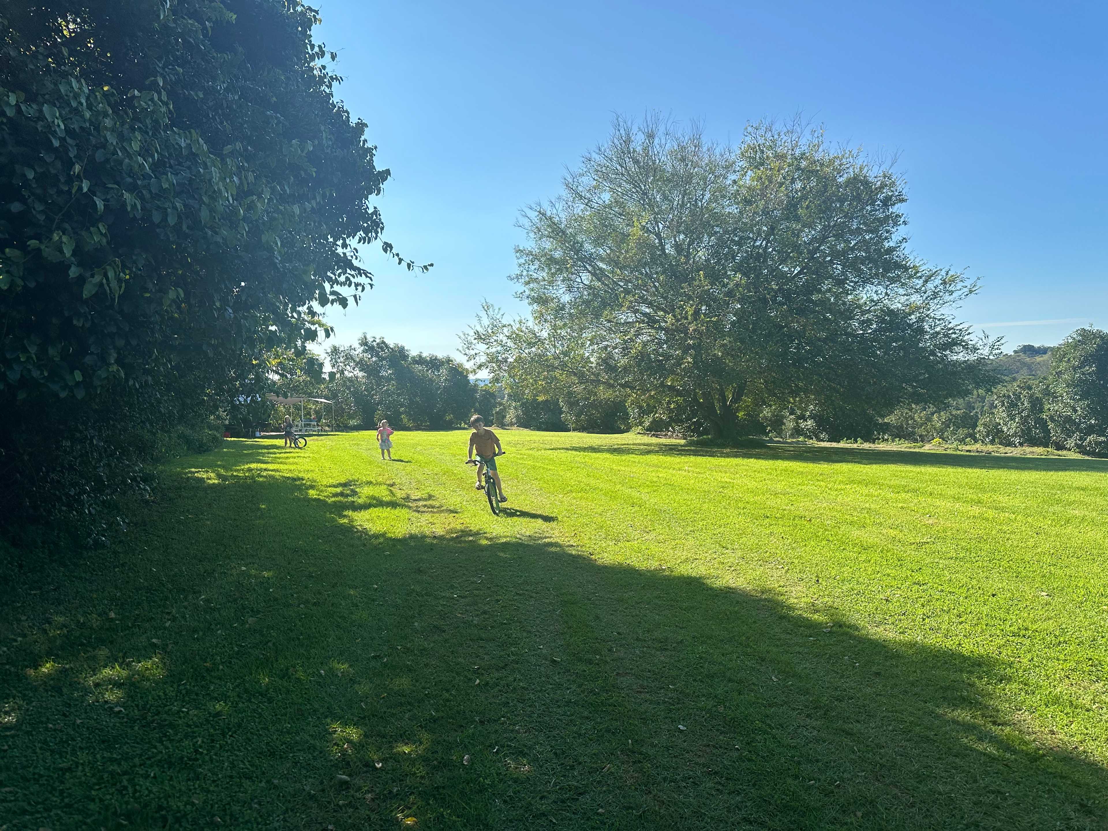 Tremayne - The Old Avocado Farm