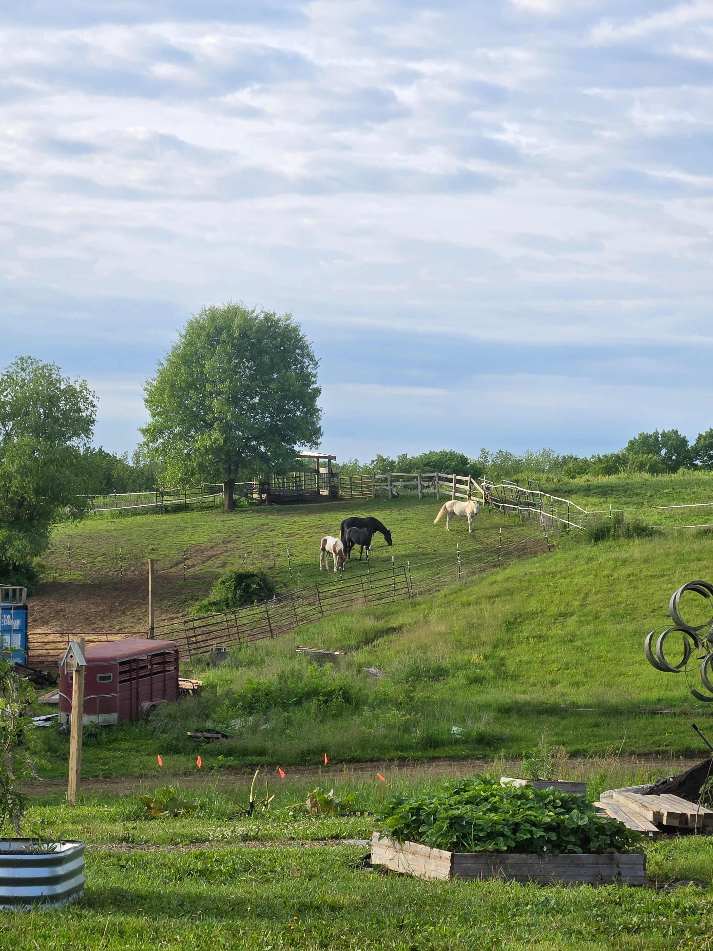 Bend River Farms