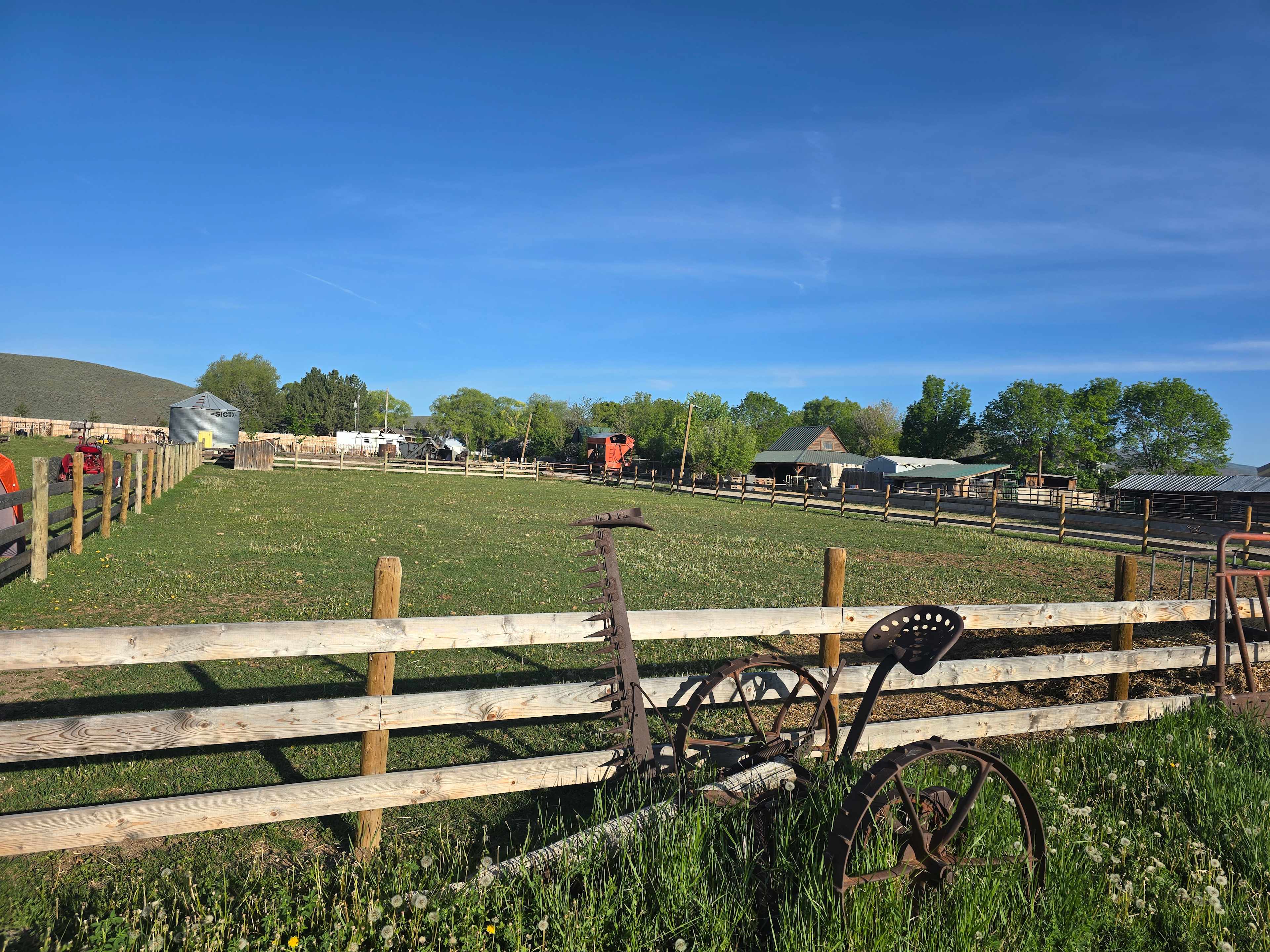 Crazy Cow Farm Adventures