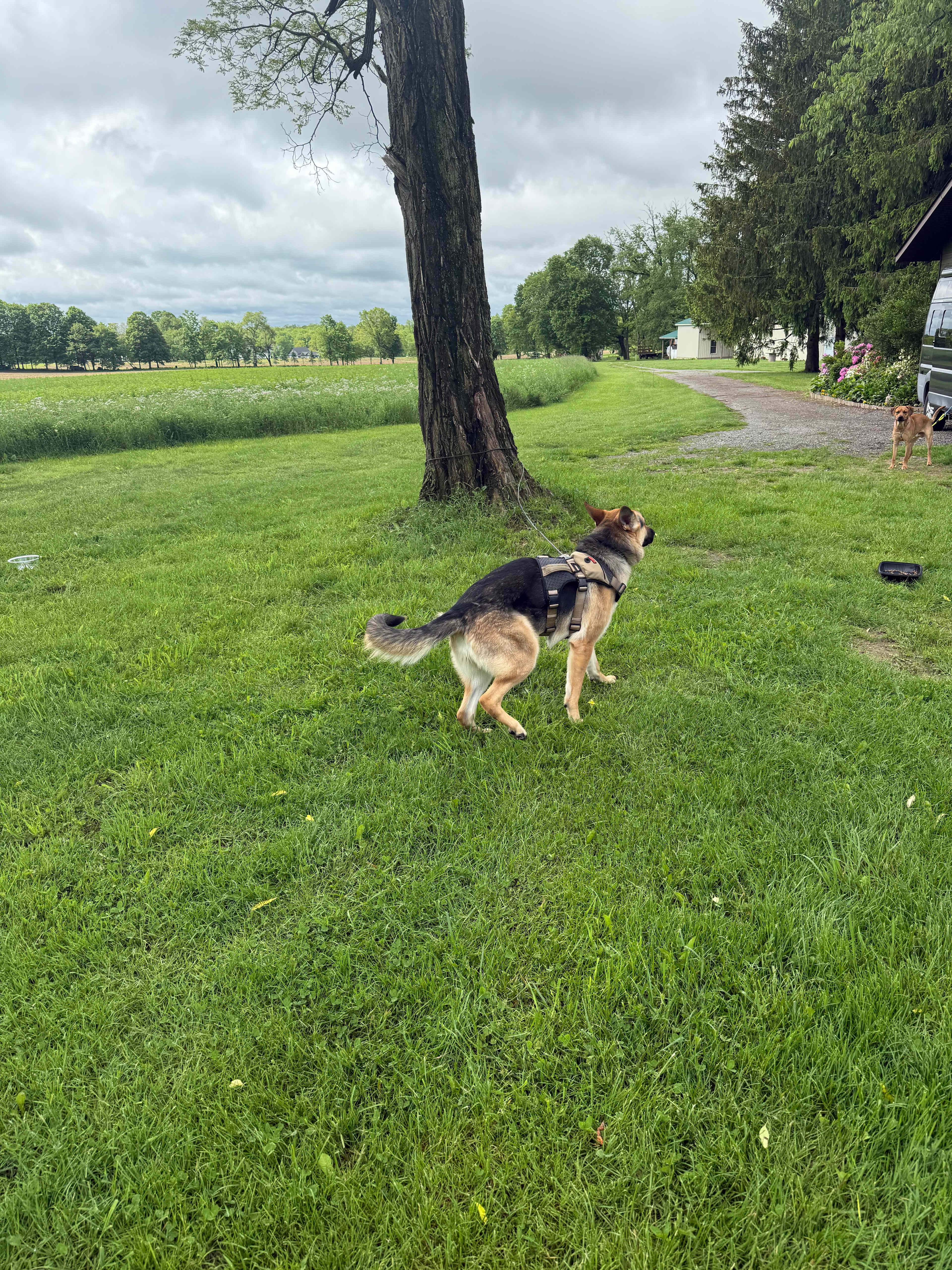 Heritage Lake Farm