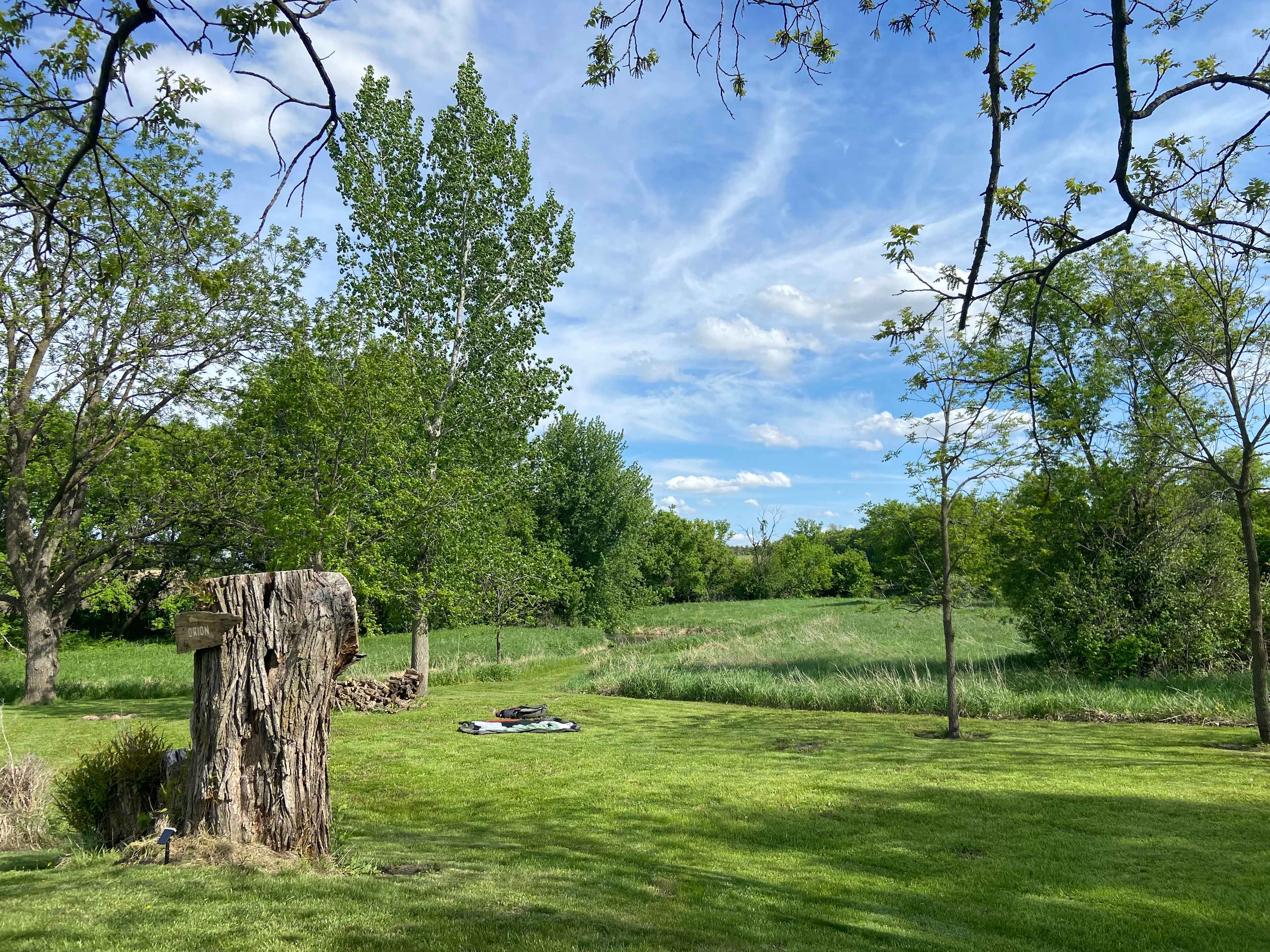 Picture of the site