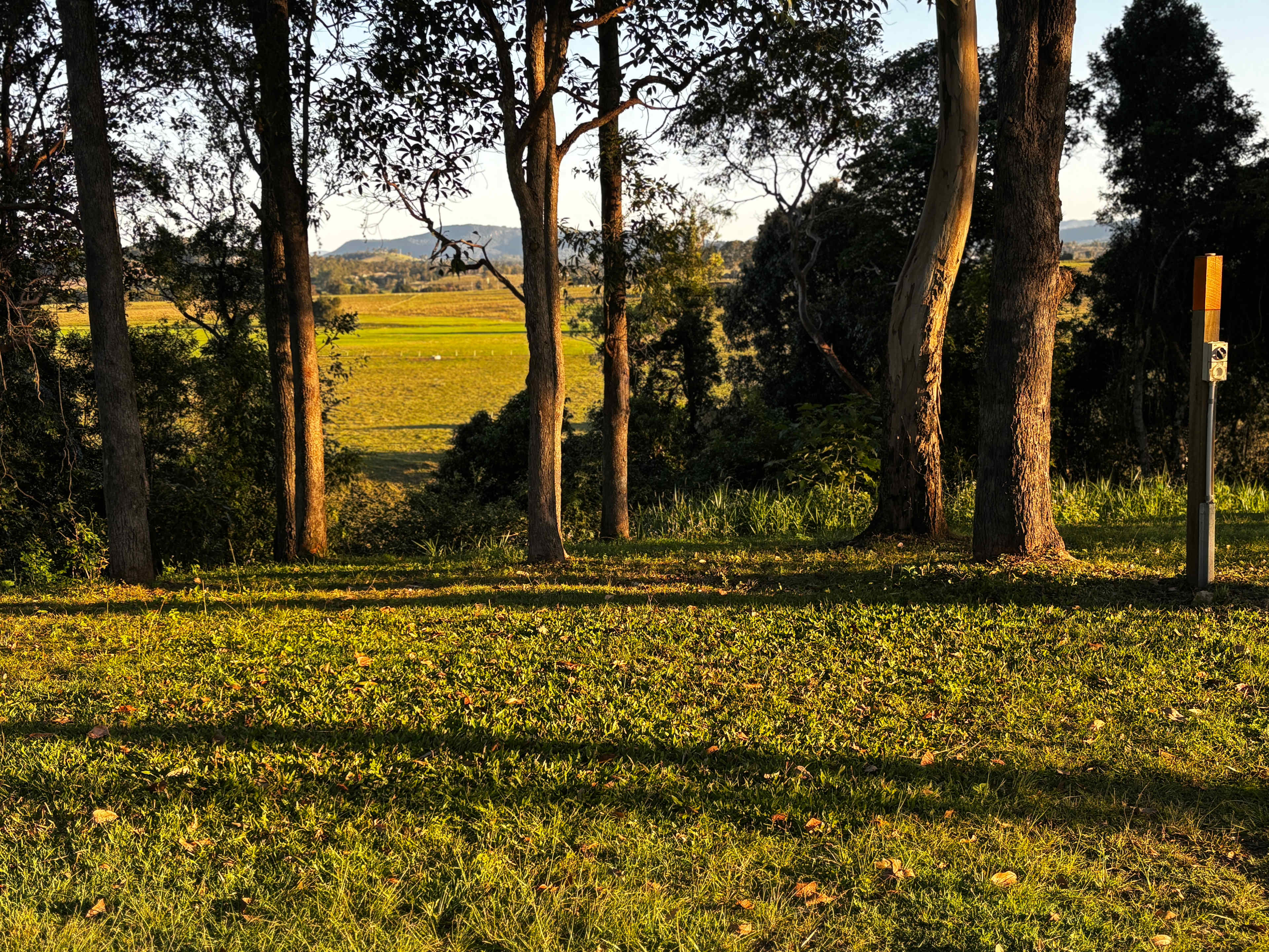 Campsite 5
