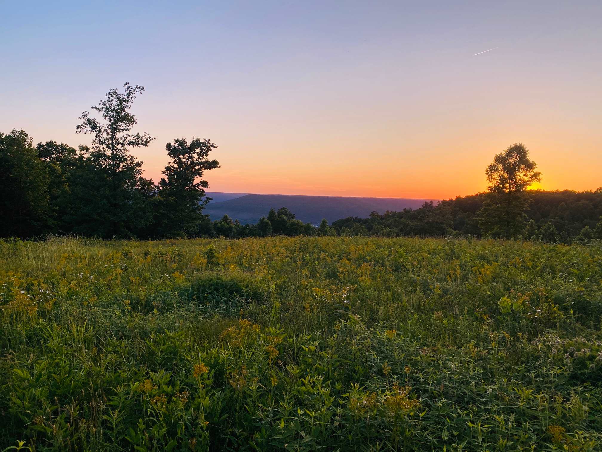 Whippoorwill Woods Nature Retreat