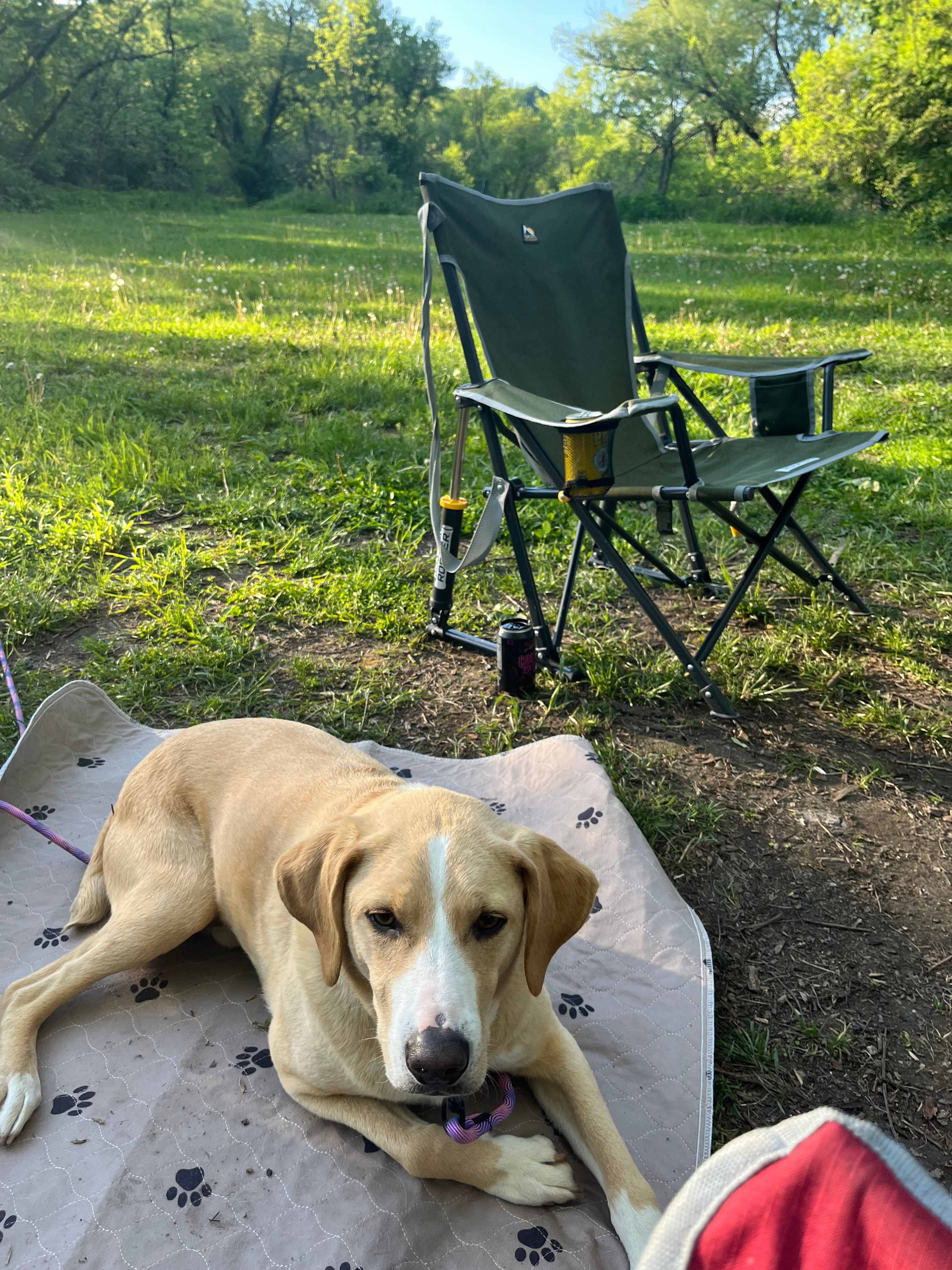 New Hartford trout camp