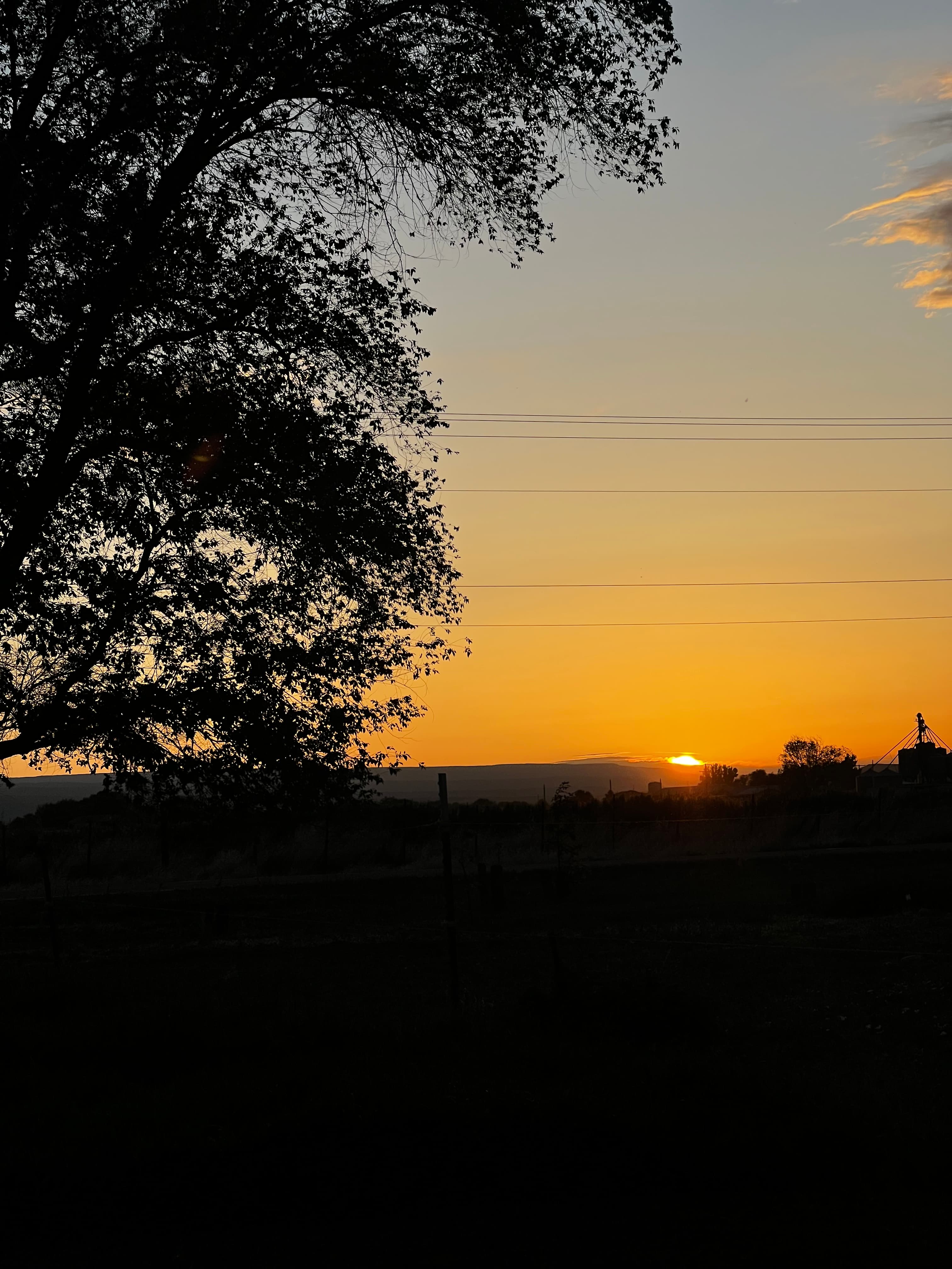Delta Hobby Farm