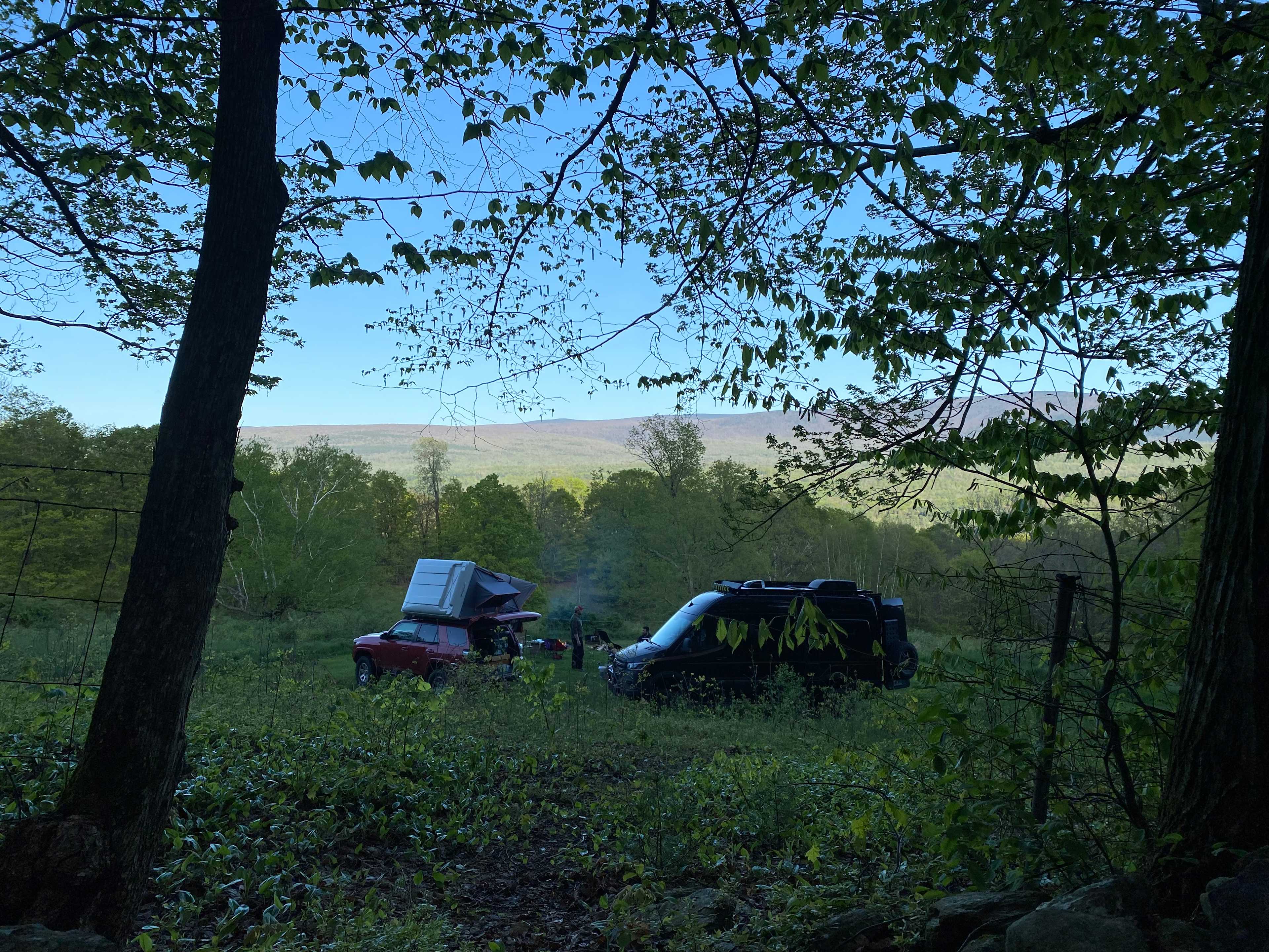 Timbertrail Farm