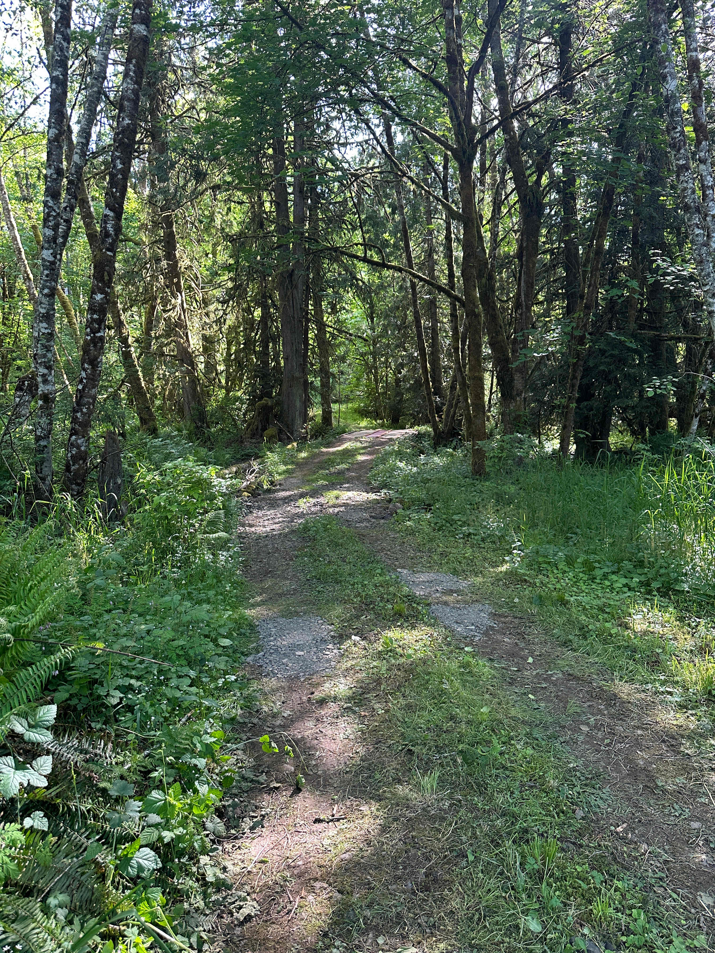 Pitfalls Campground