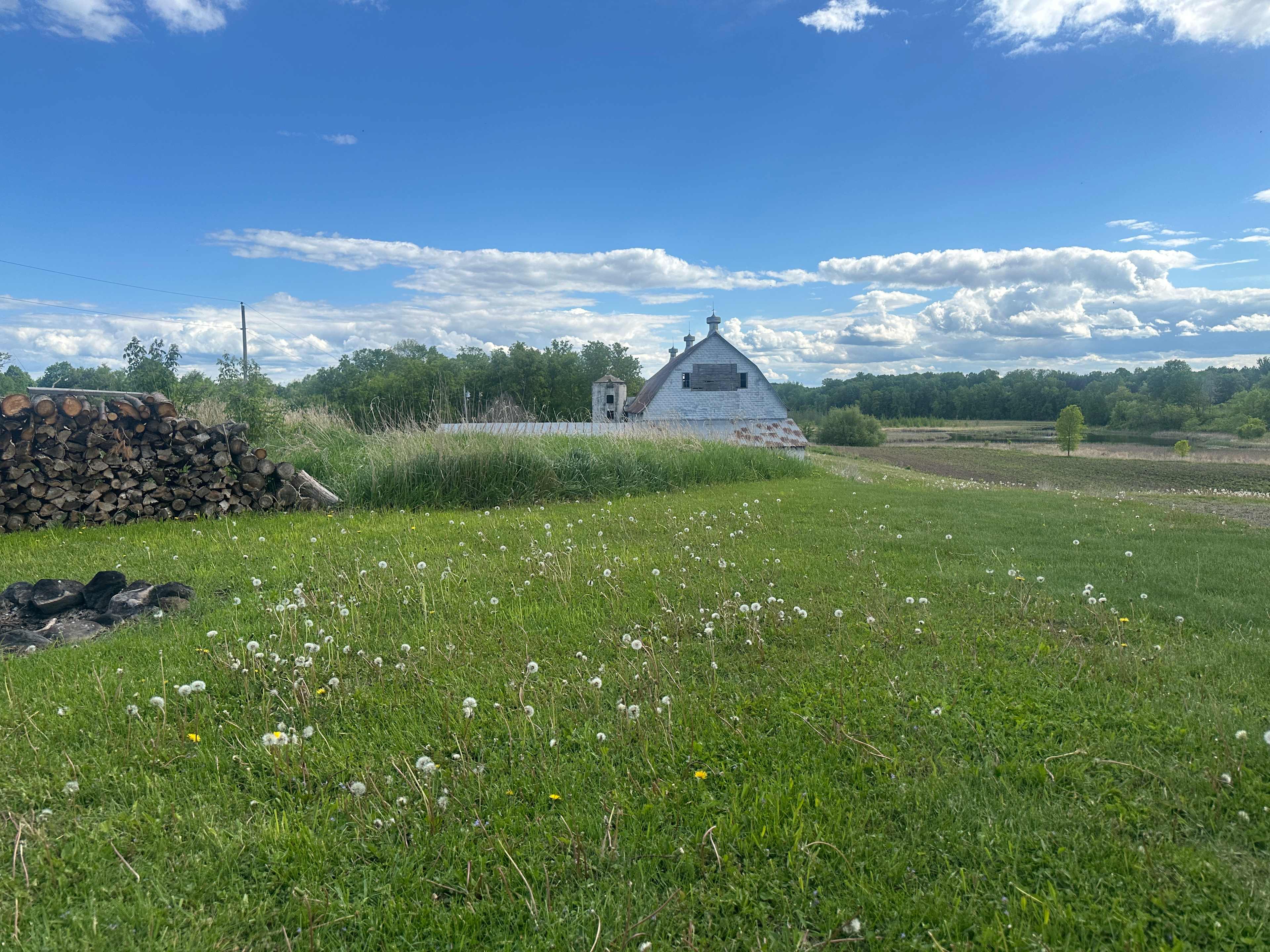 View from our camper door 