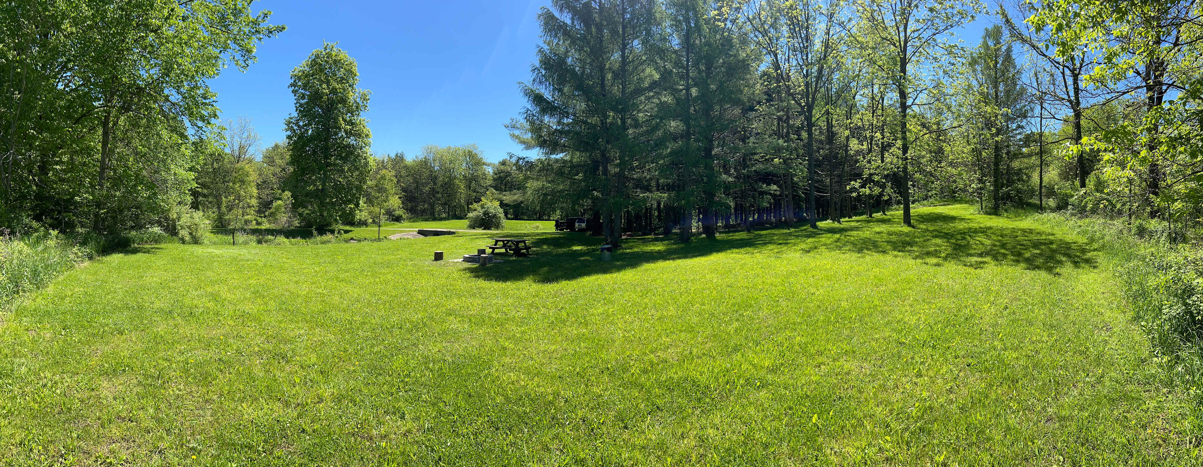 Boone Farm & Forest