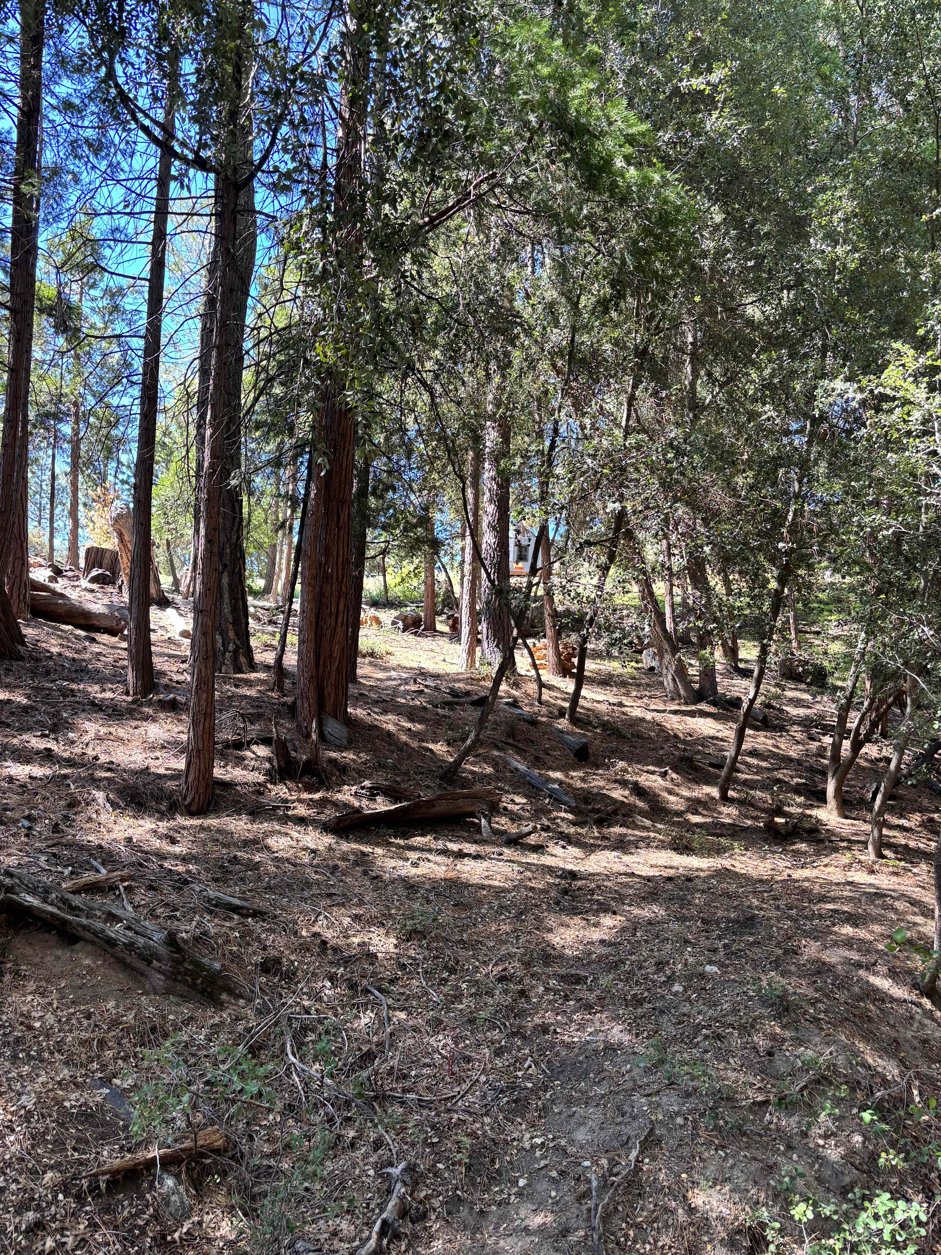 Serene forest privacy for 4WD
