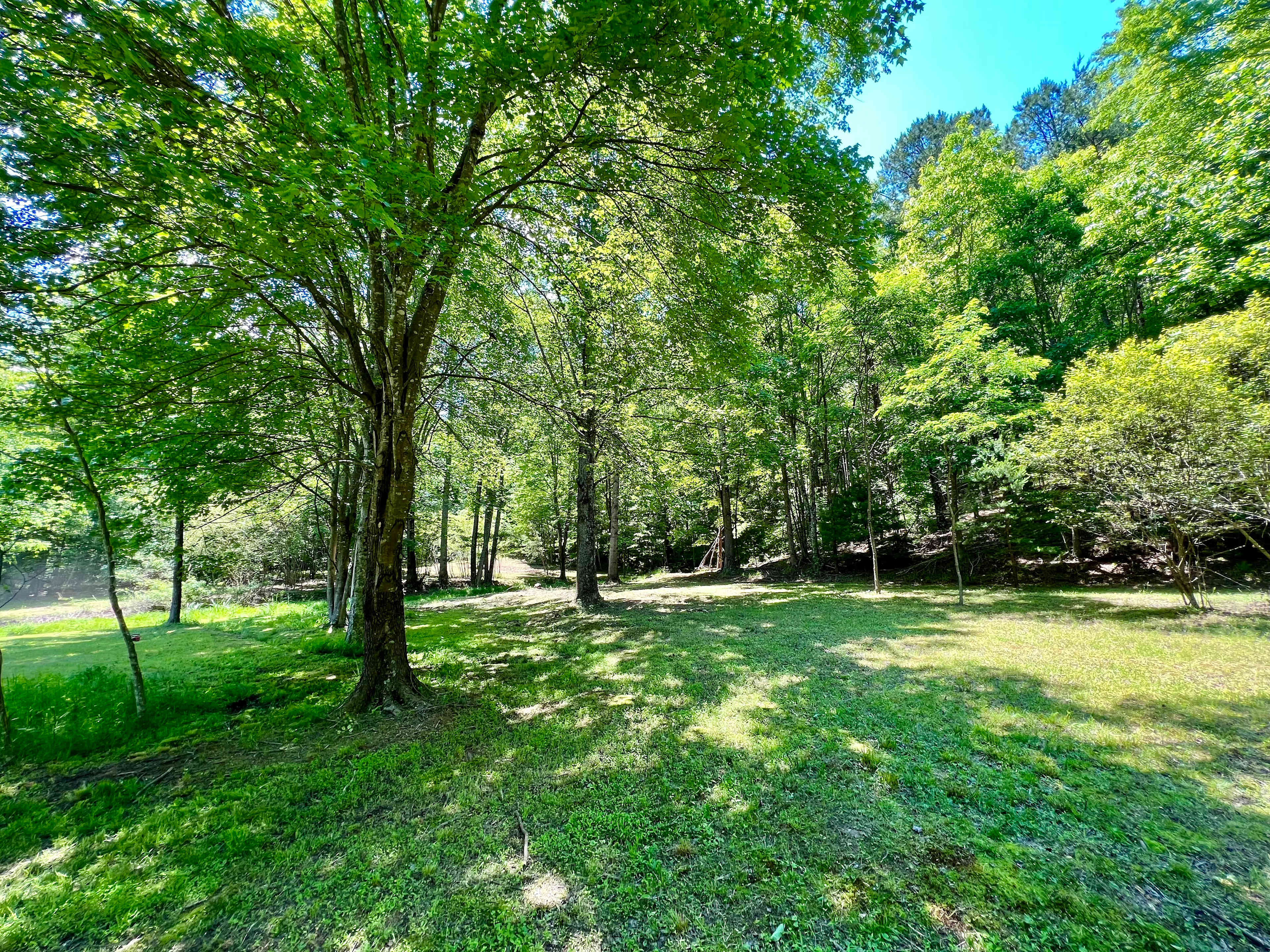 Bull Mountain Campground