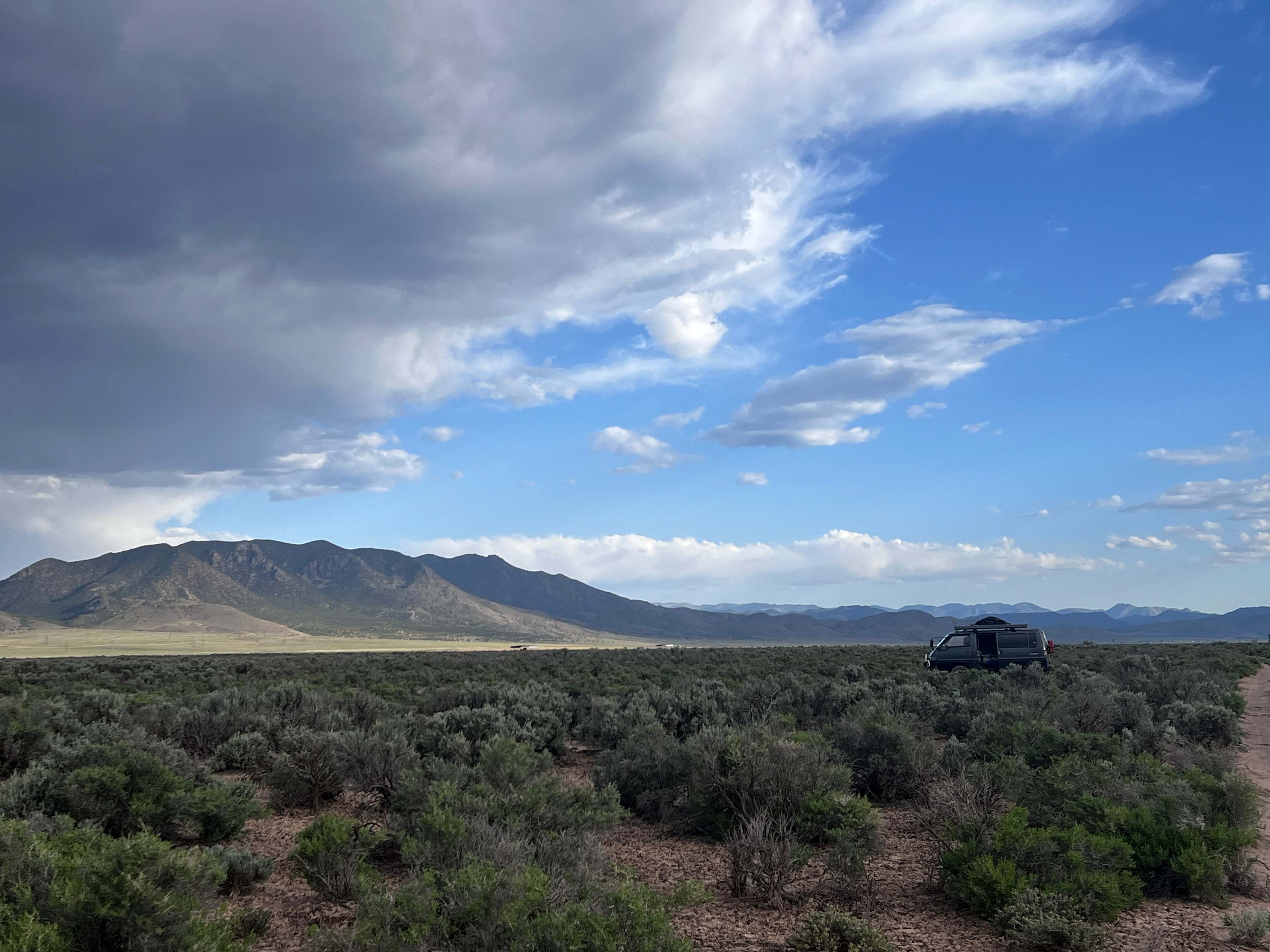 Briggs' Beryl Desert Retreat