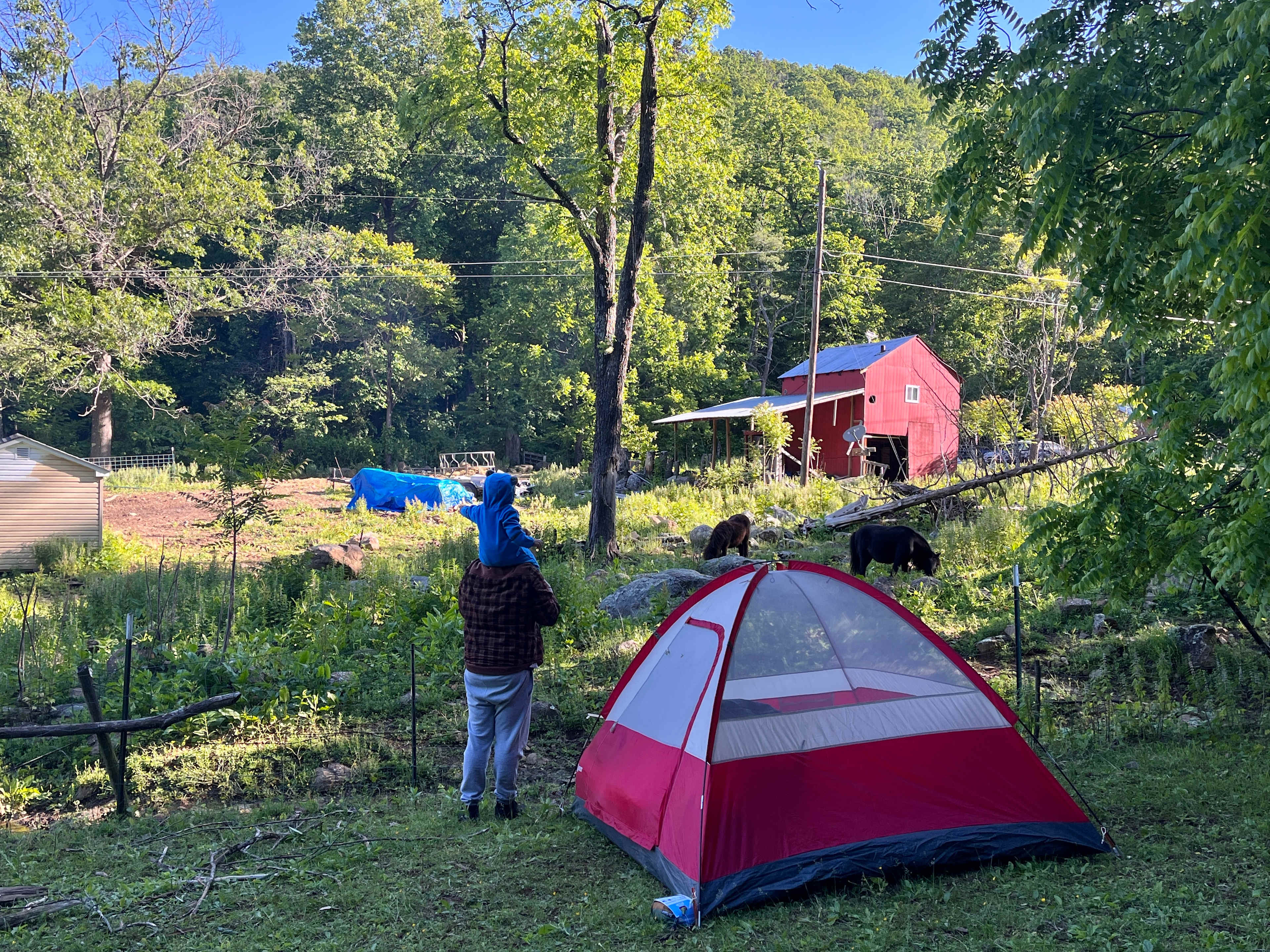 View from site