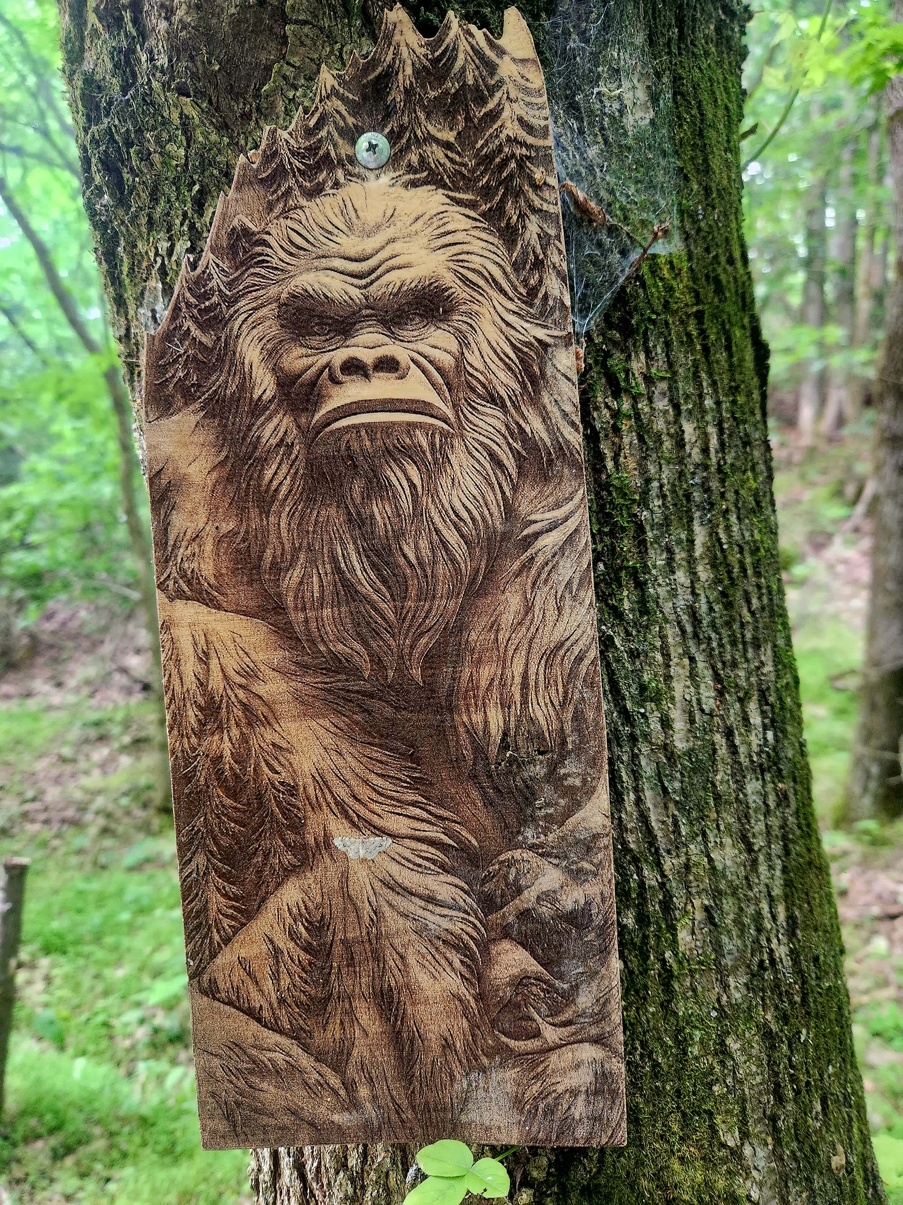 Big Foot Holler Camping