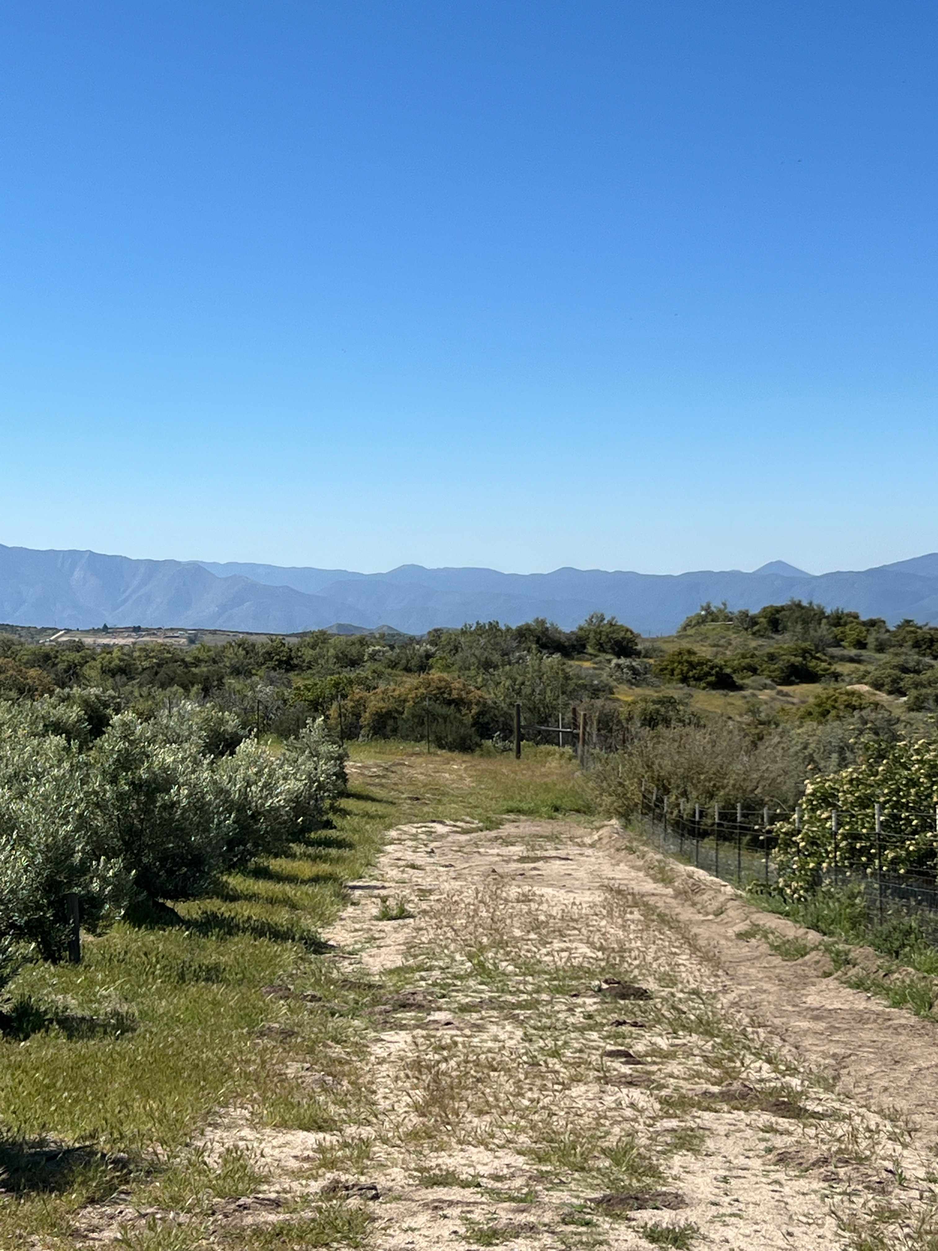 Private 5 Acre Olive Grove Hideaway