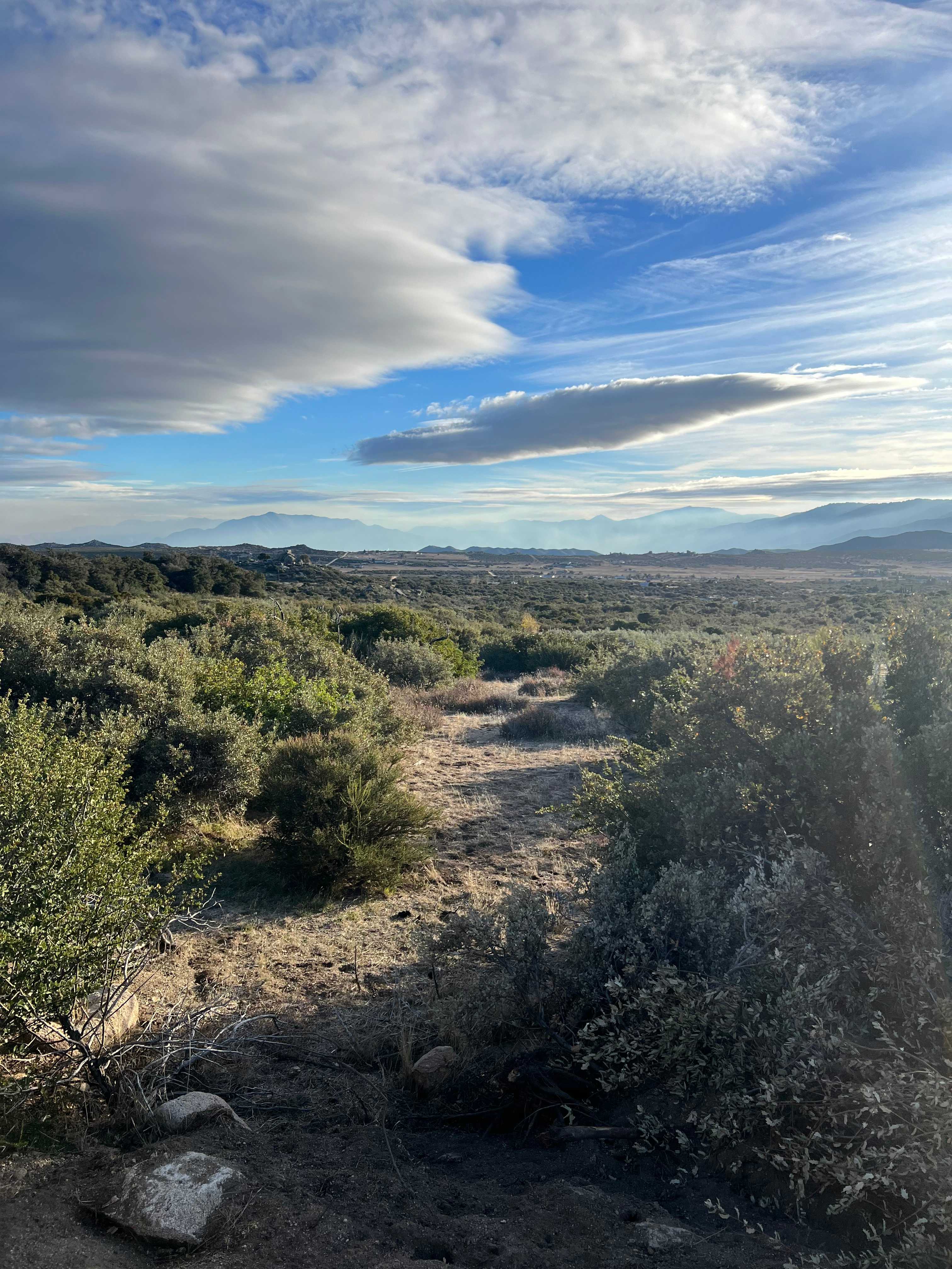 Private 5 Acre Olive Grove Hideaway