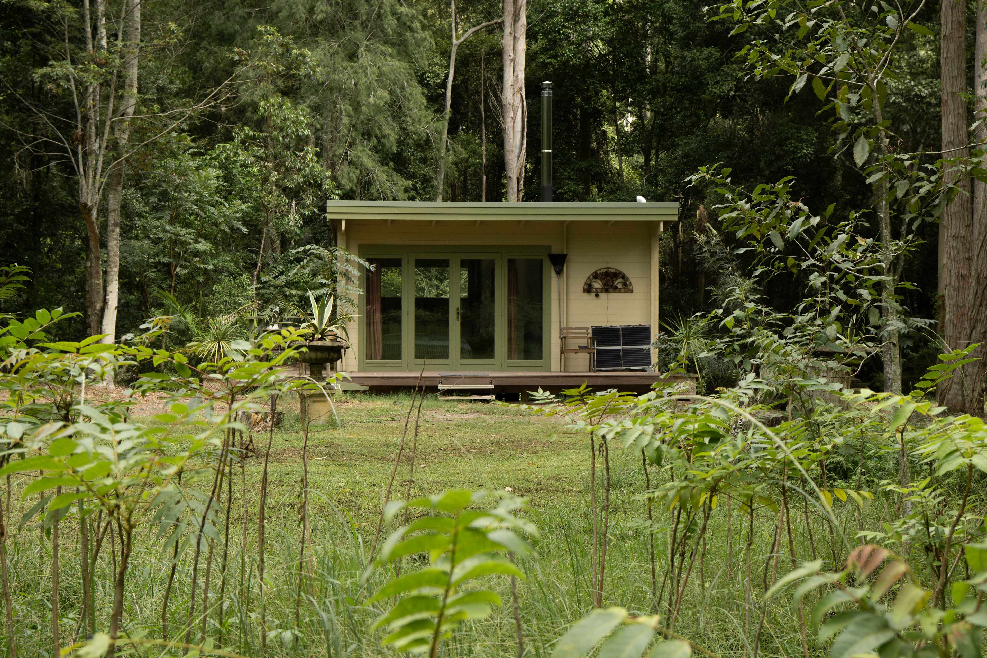 Wombat's Forrest