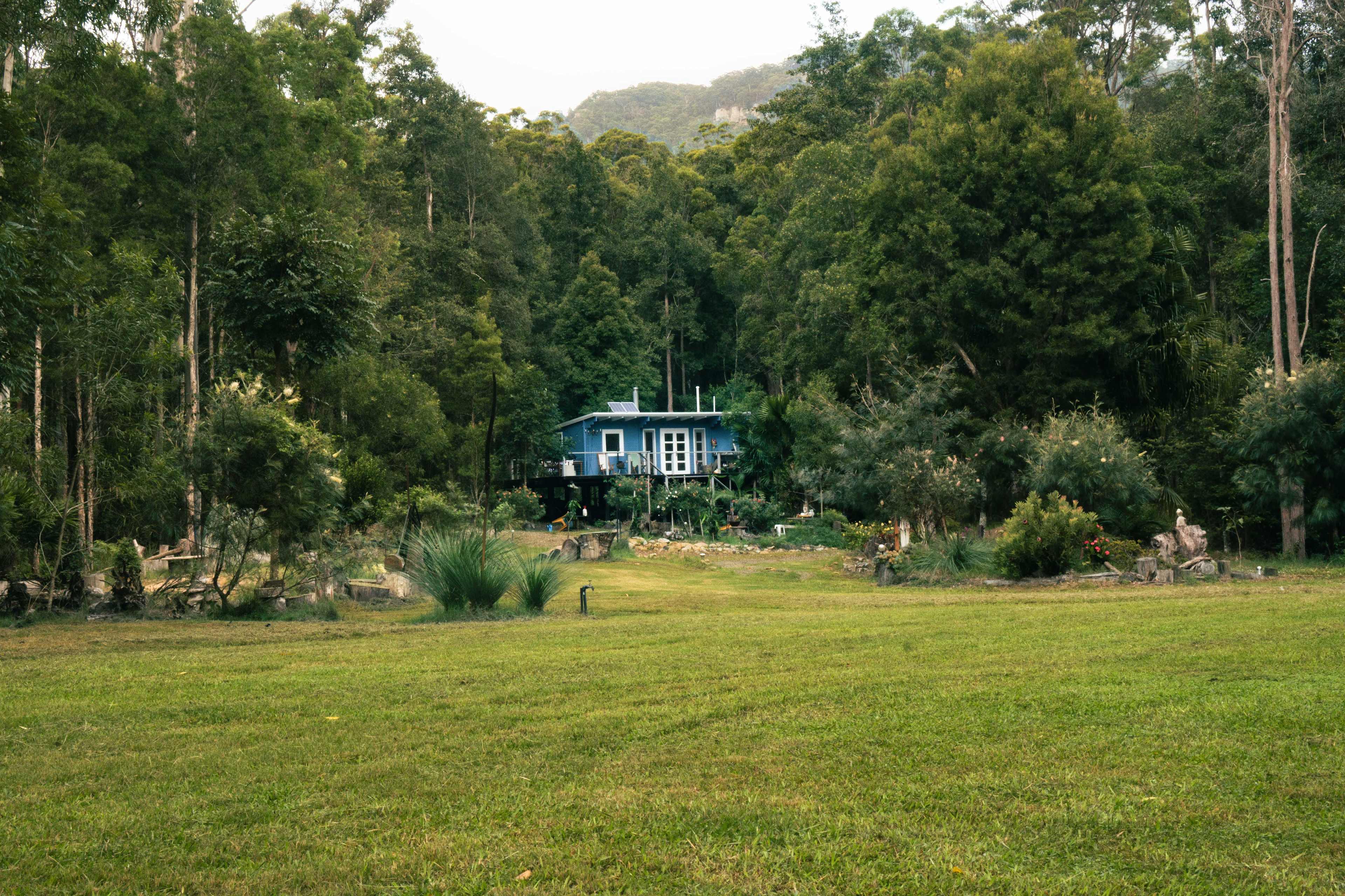 Wombat's Forrest