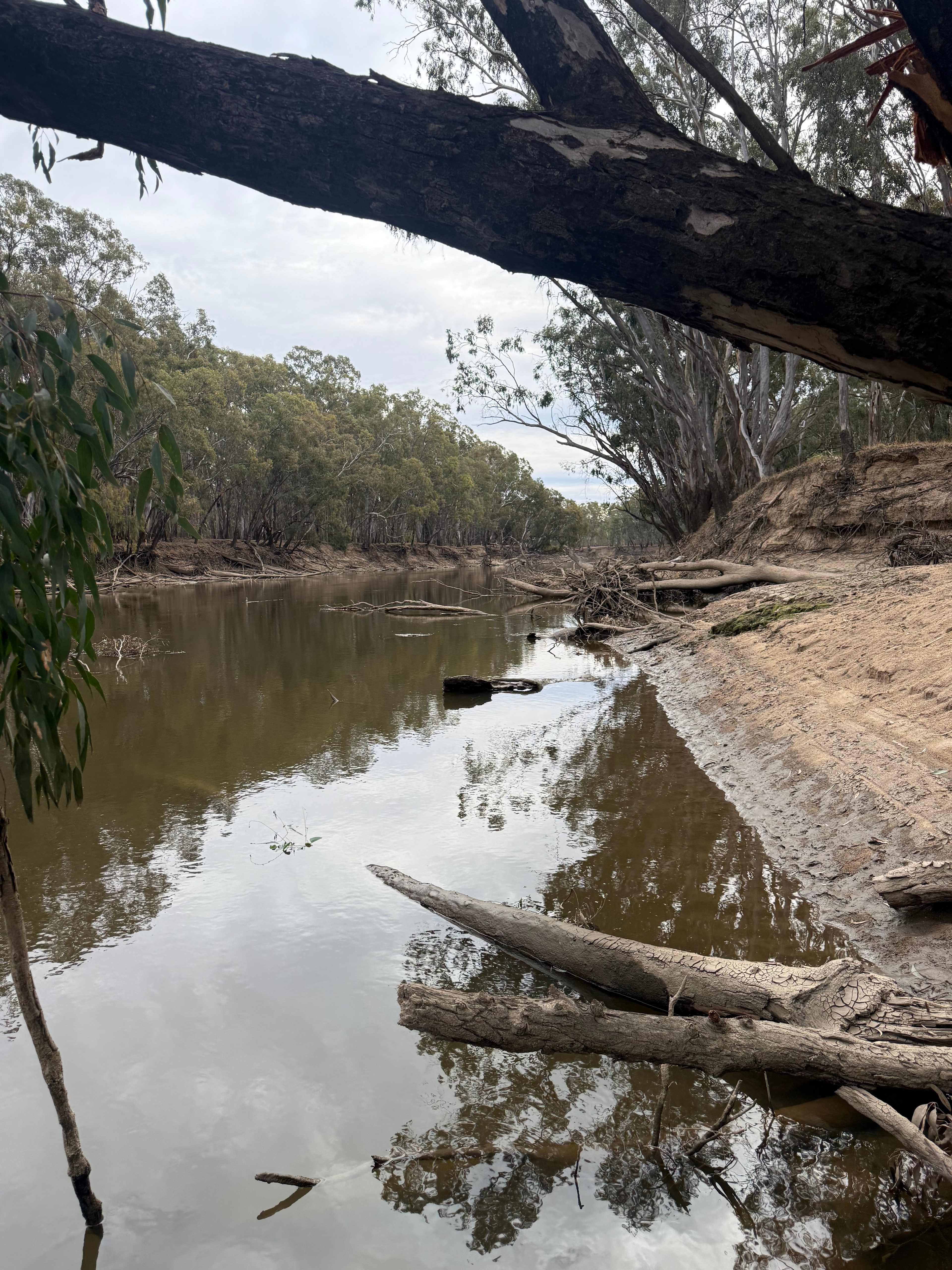 Amaroo On McLays
