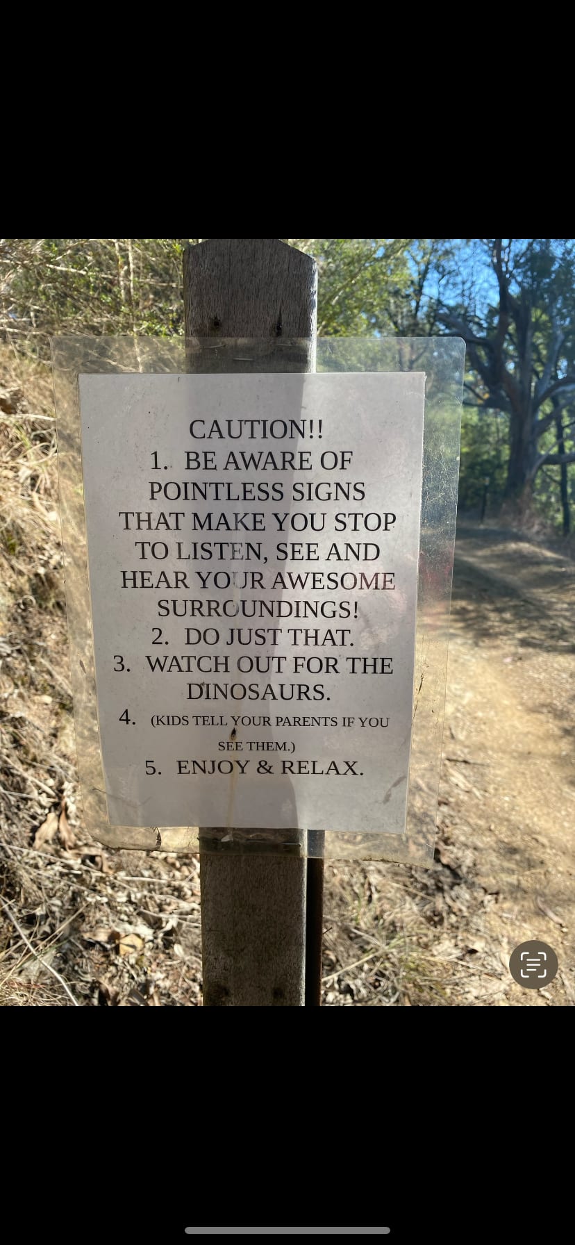 Dinosaurs?