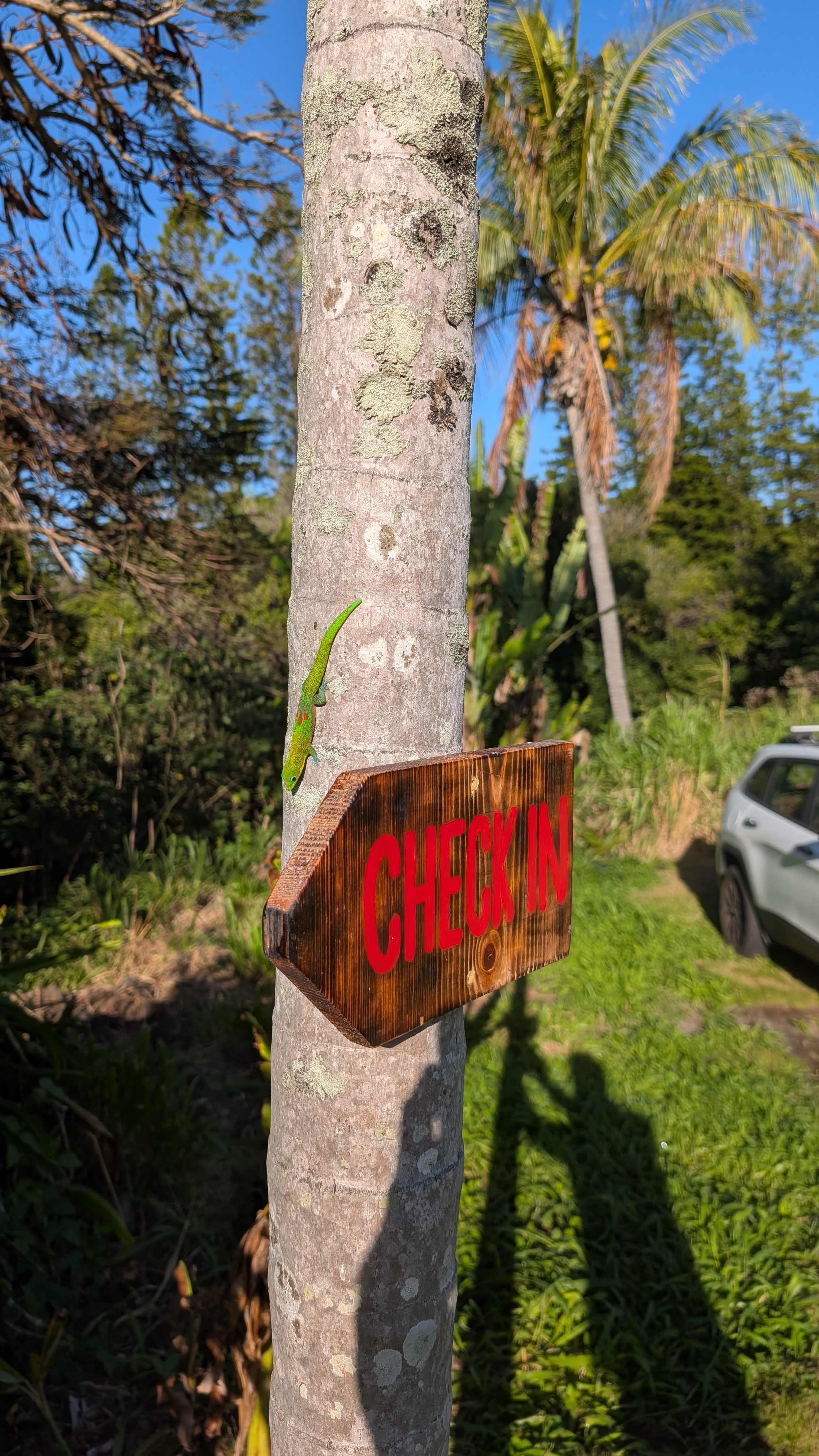 Hawaii Island's Best Campsites