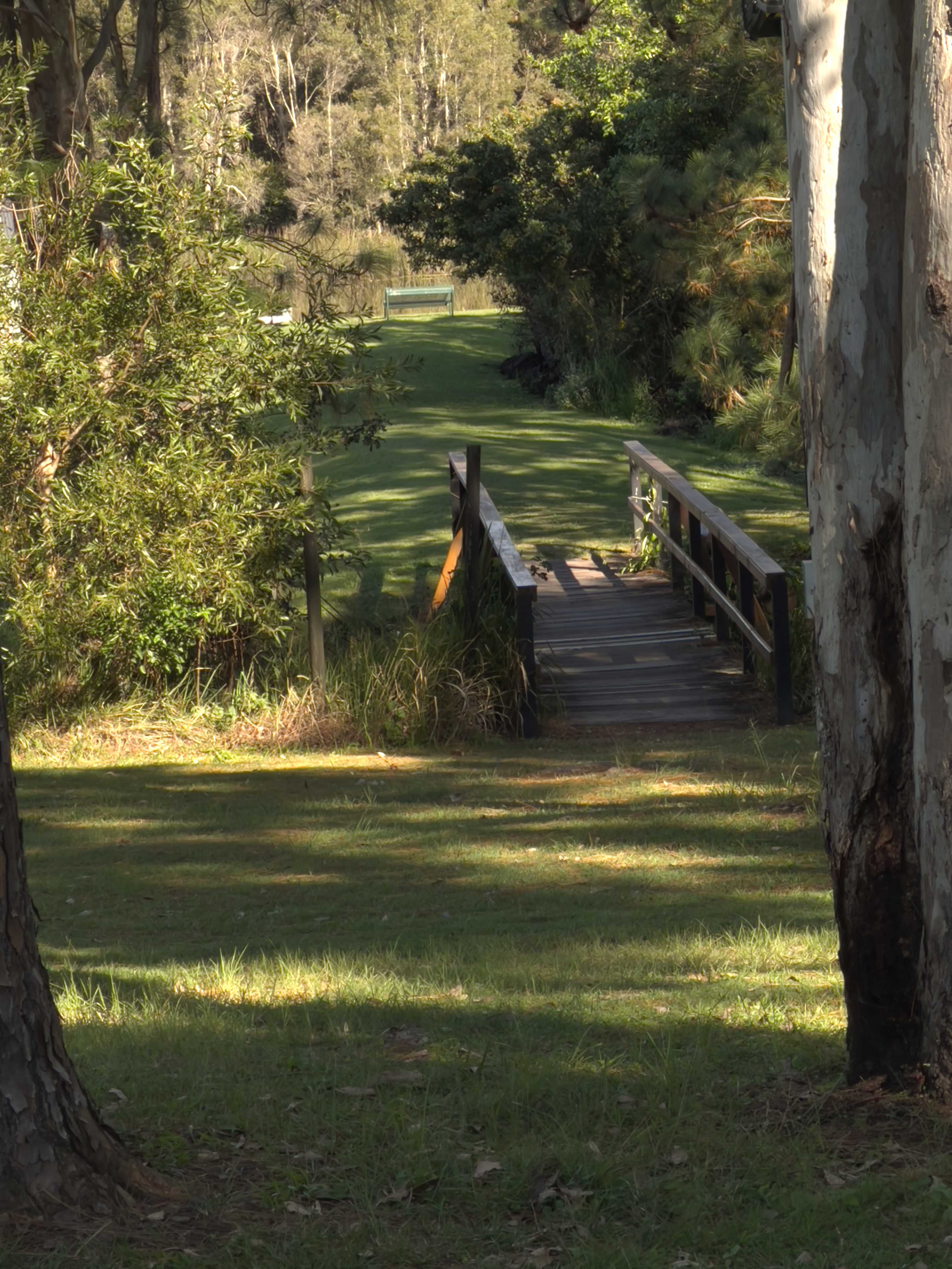 Bushywood at Woodfordskilake