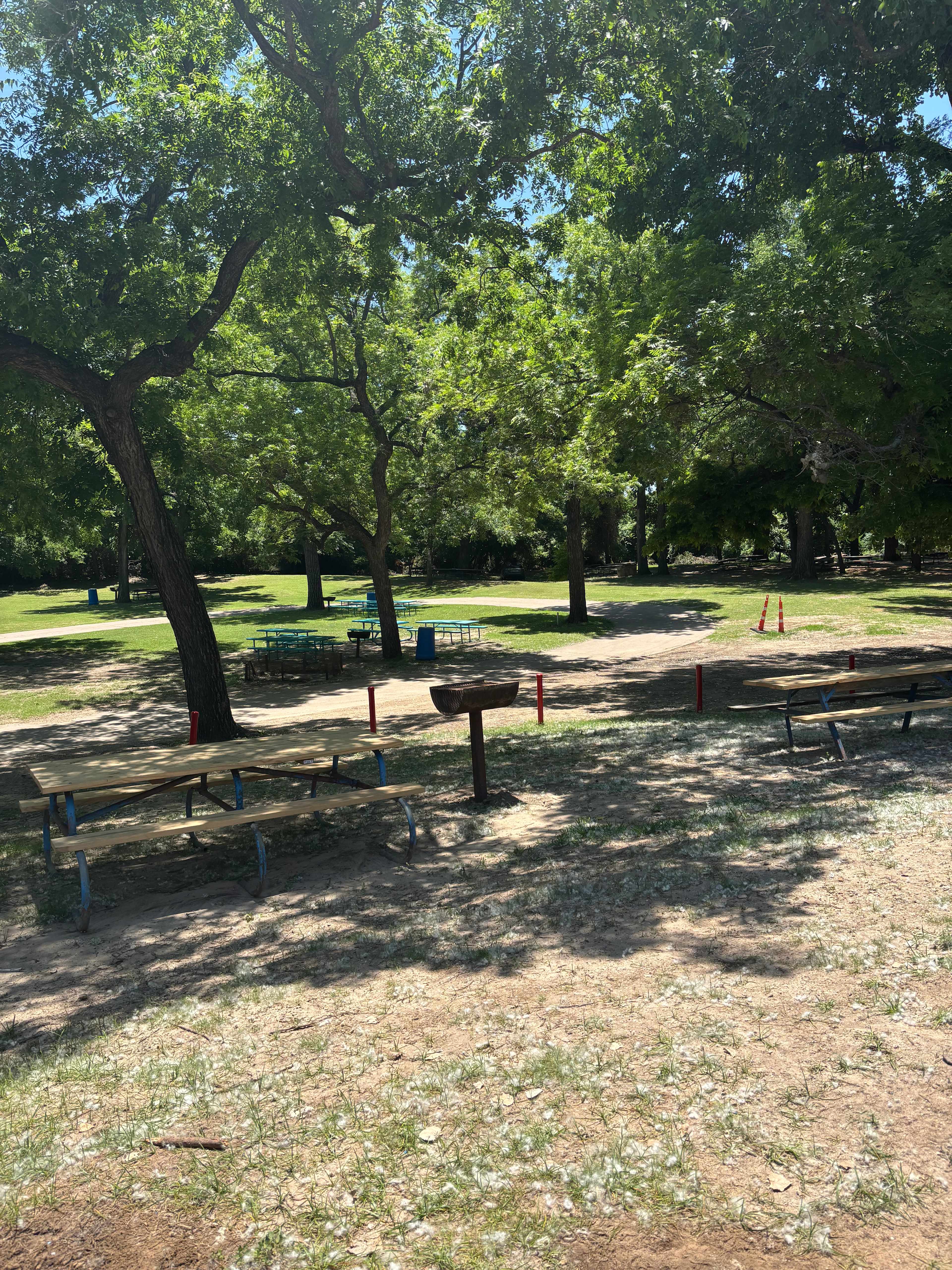 Grills and picnic tables everywhere 