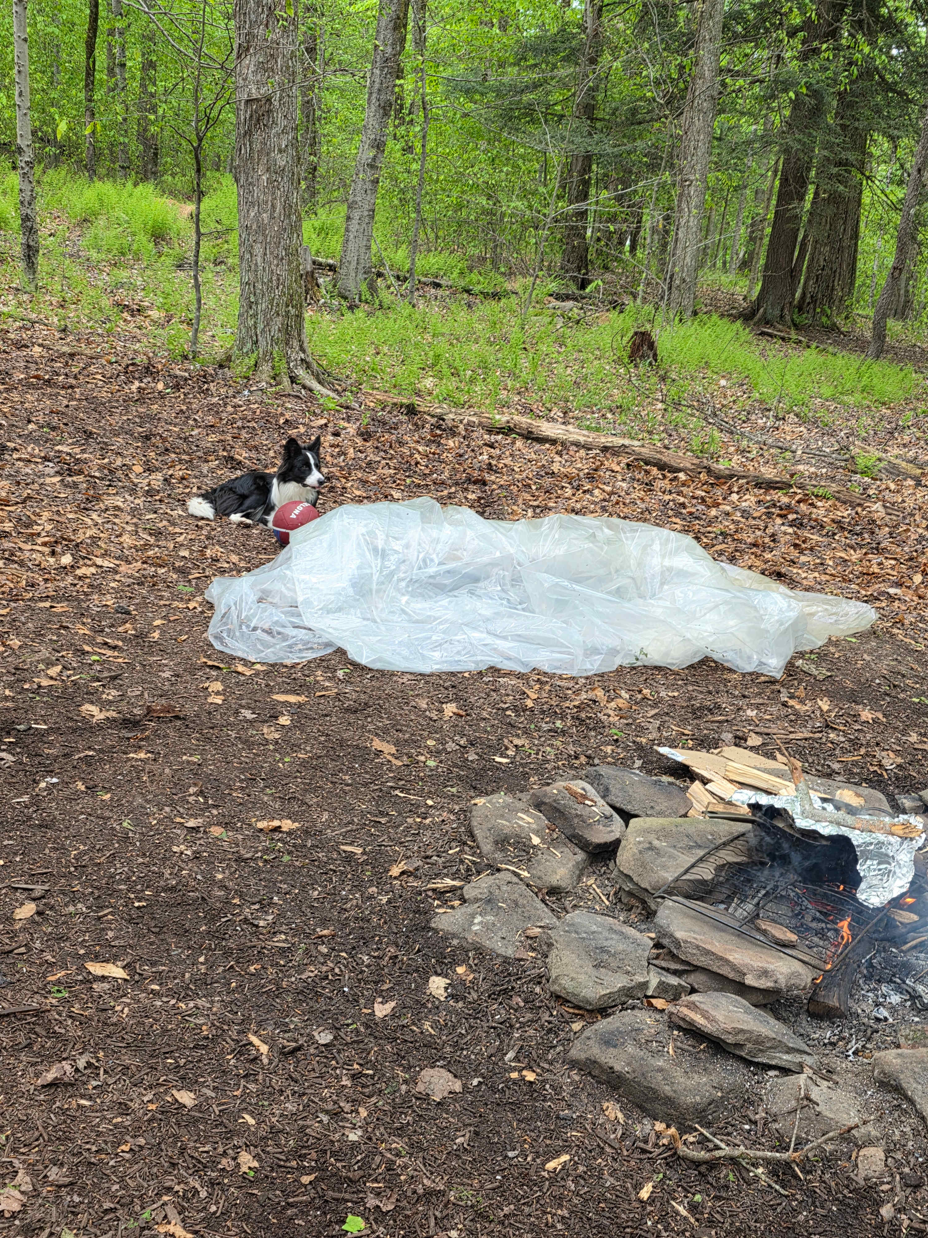 Blue Wind Nature Camp