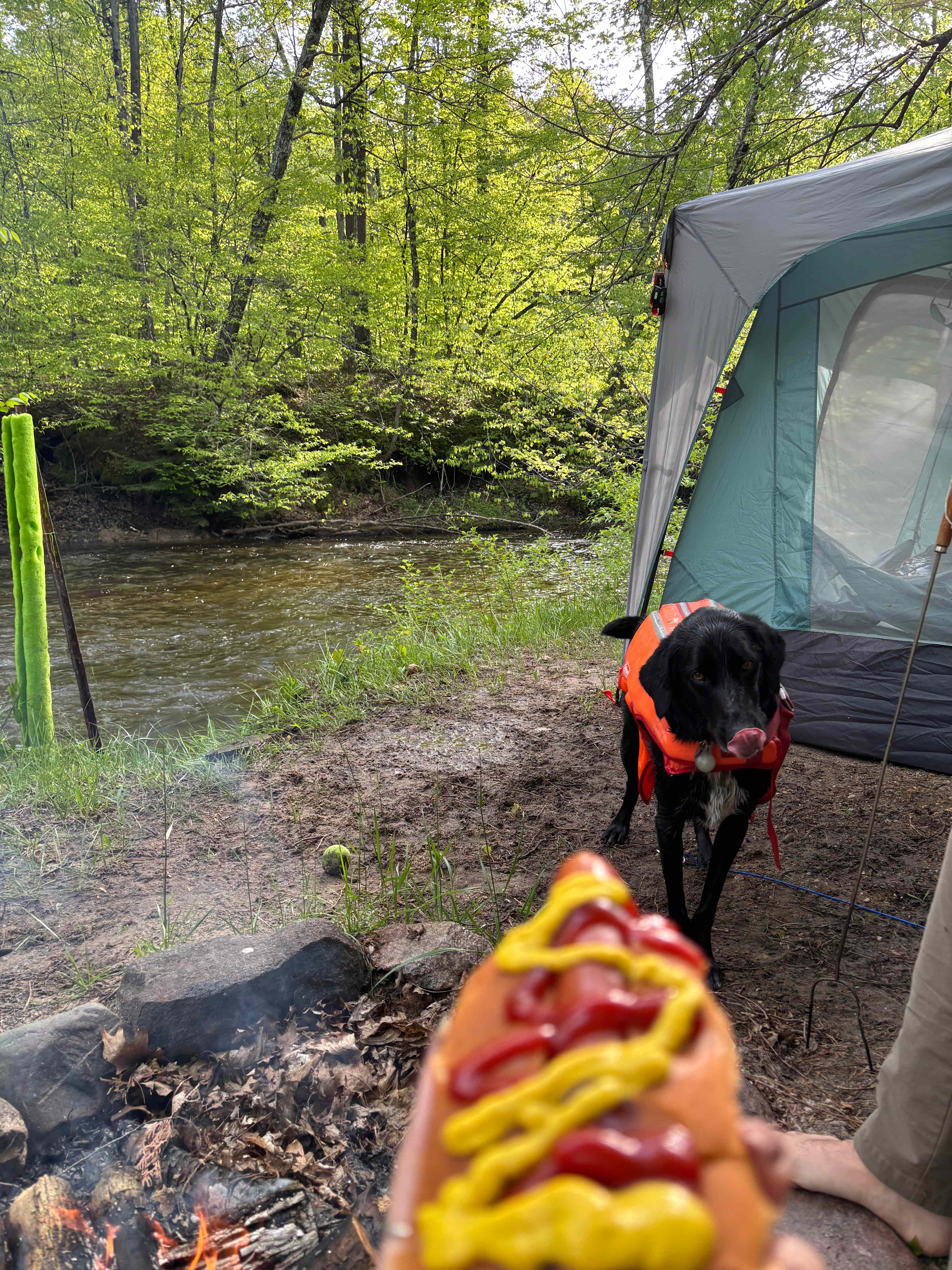 Brookhollow Riverfront Campsite