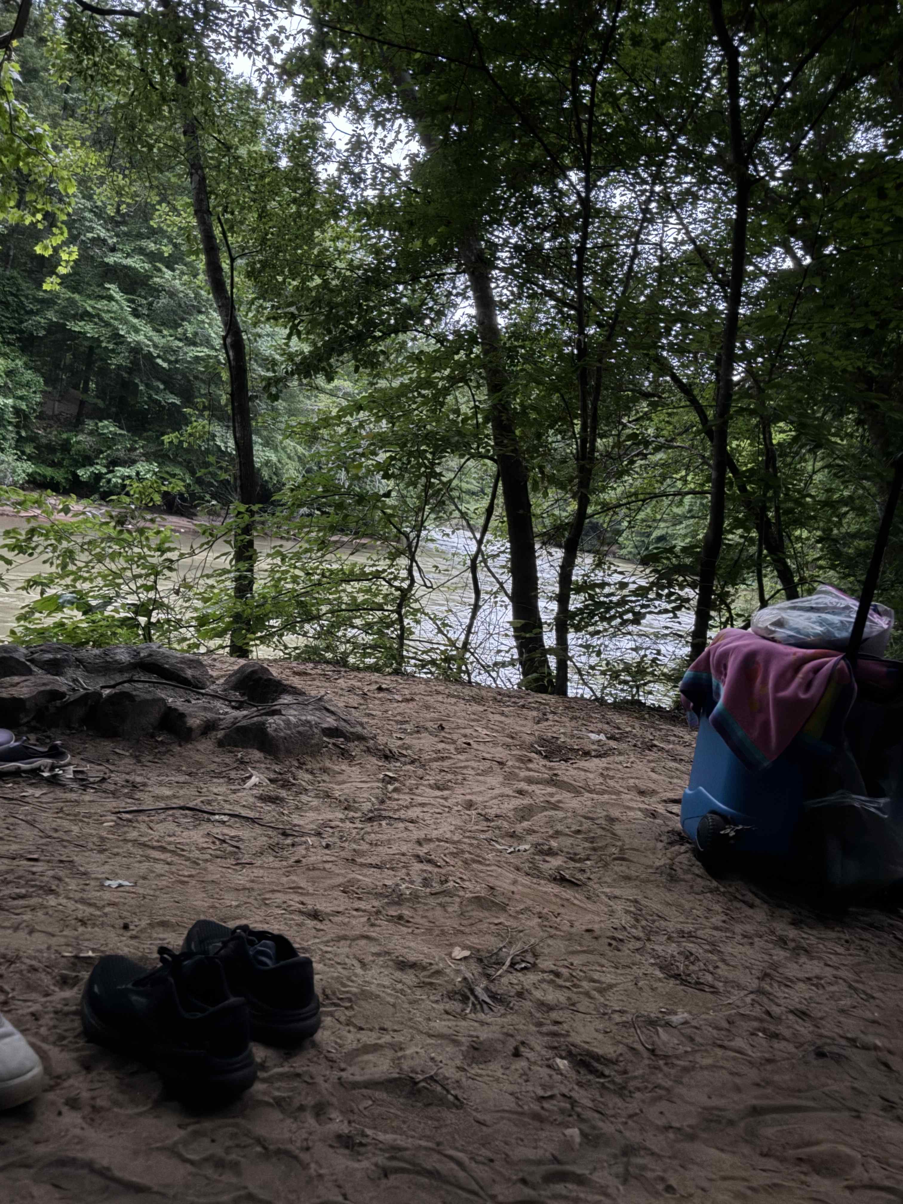Camp Moondog