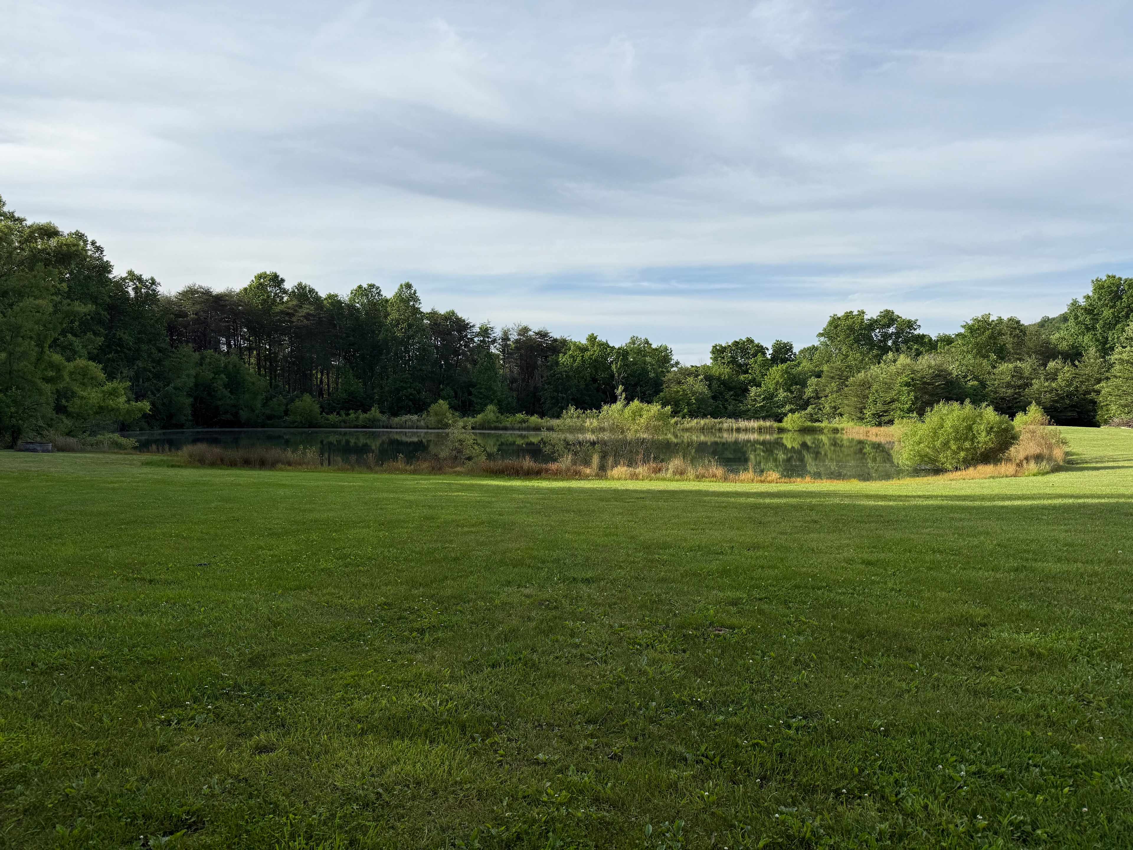 View of the pond